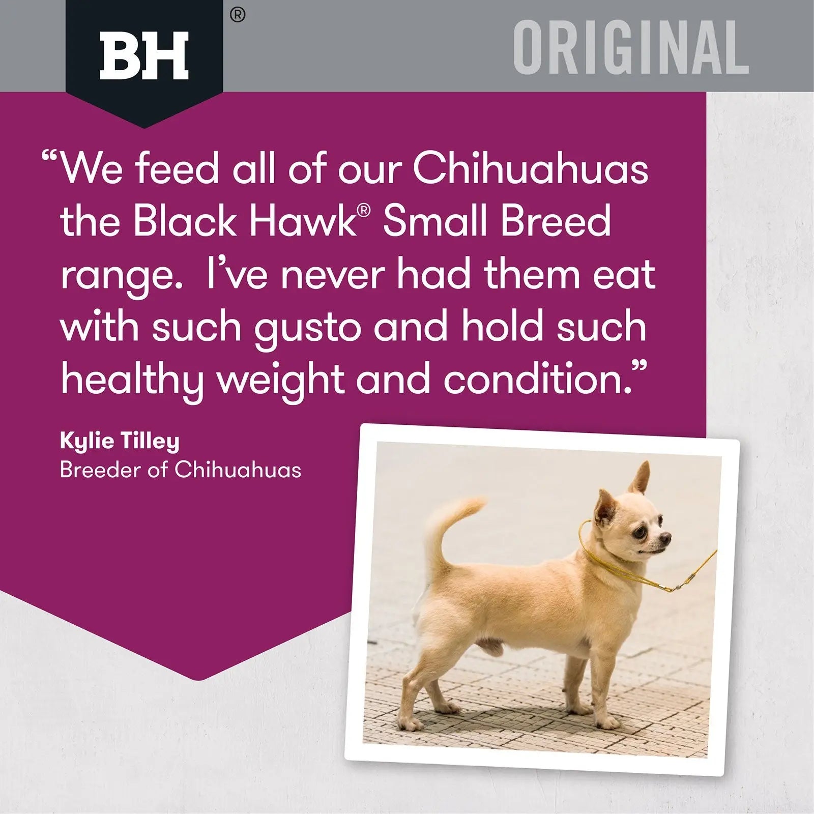 Black Hawk Dog Food Adult Small Breed Lamb & Rice - Kellyville Pets