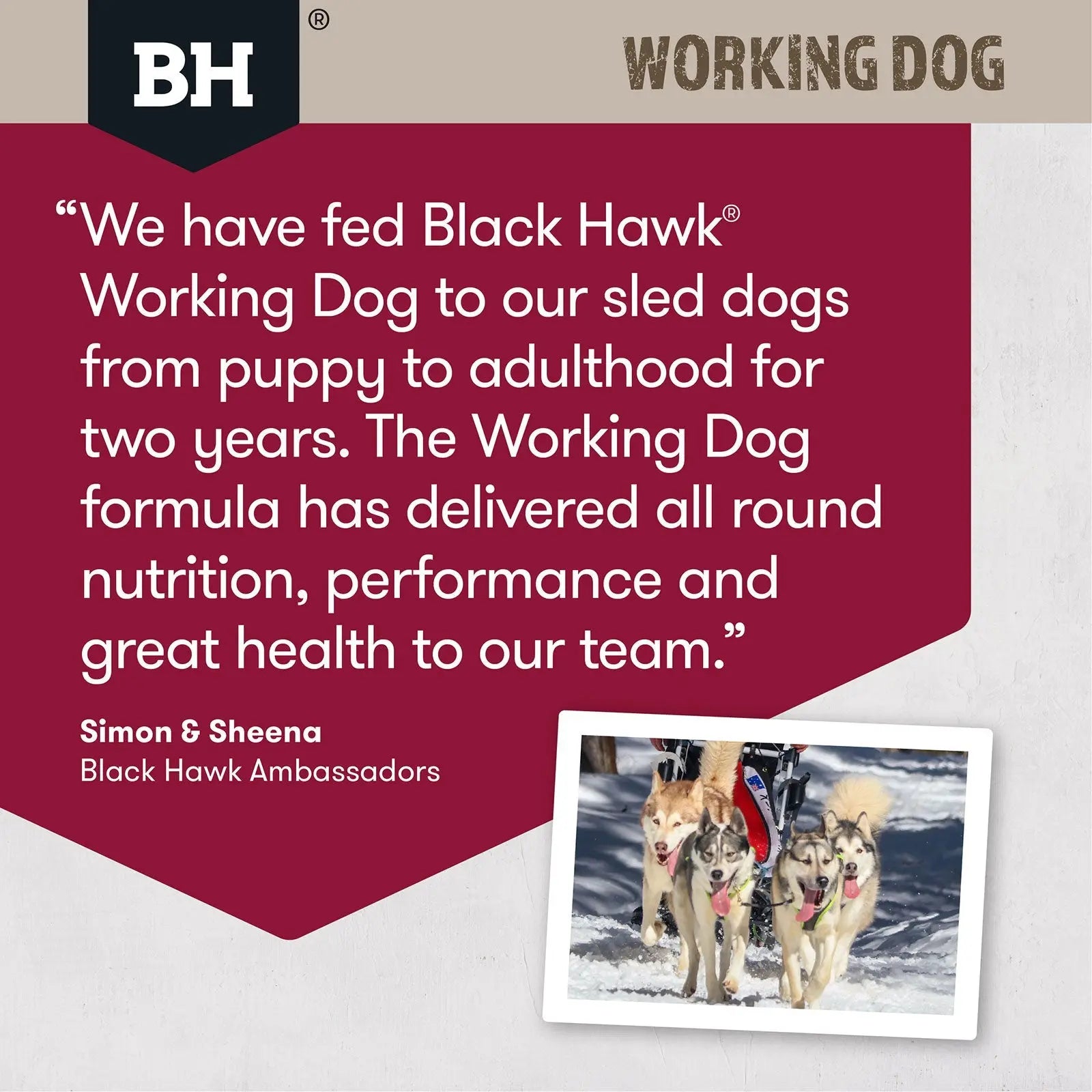 Black Hawk Dog Food Working Adult Lamb & Beef - Kellyville Pets