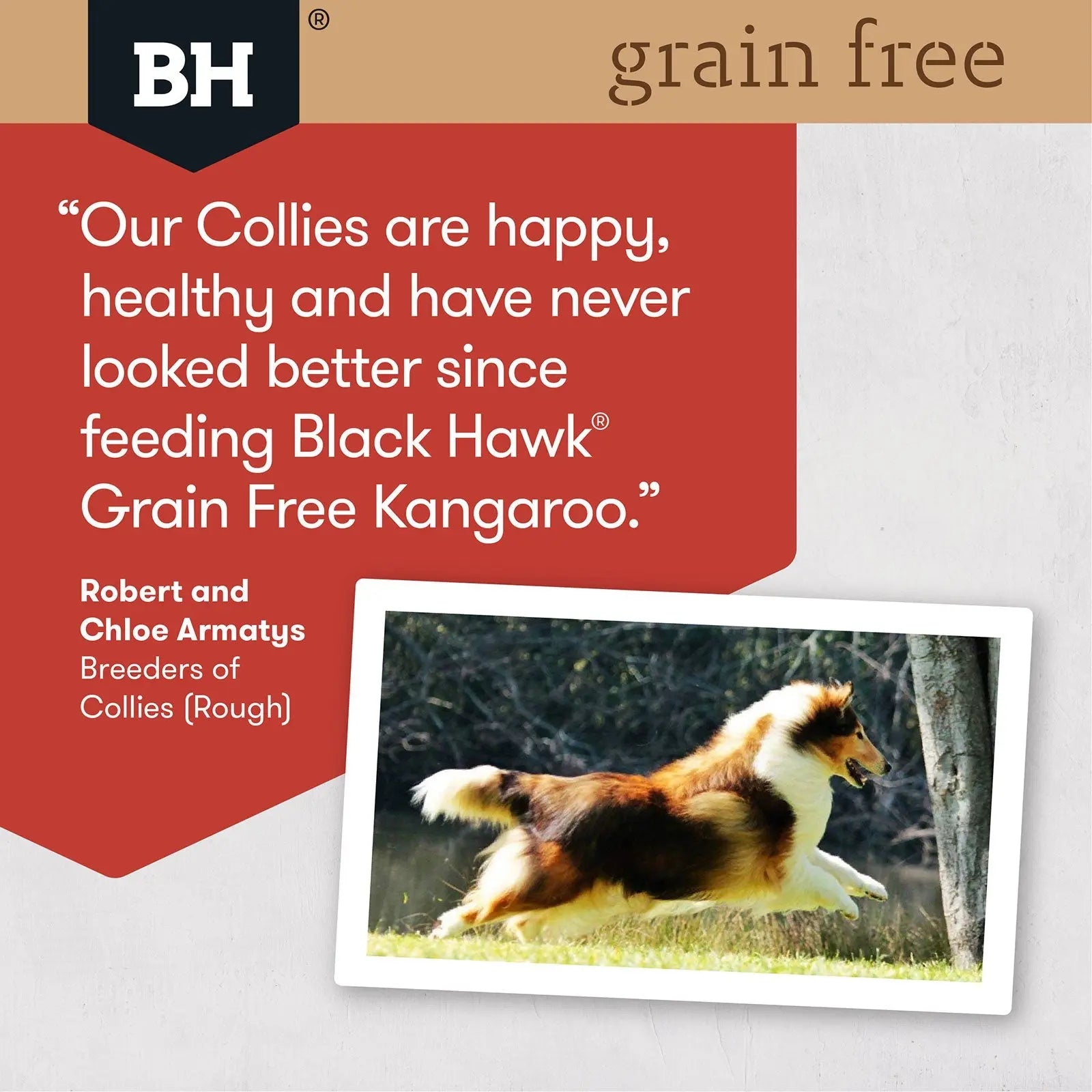 Black Hawk Grain Free Dog Food Adult Kangaroo - Kellyville Pets