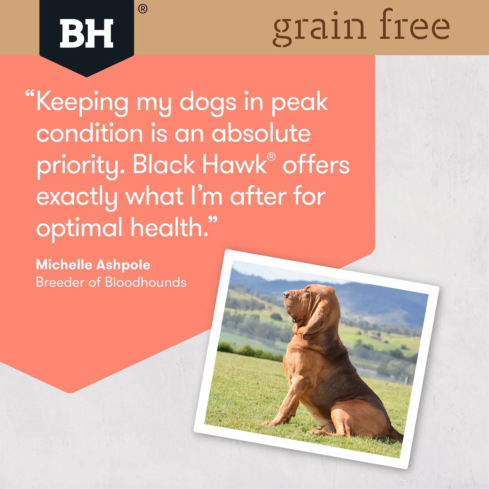 Black Hawk Grain Free Dog Food Adult Salmon - Kellyville Pets