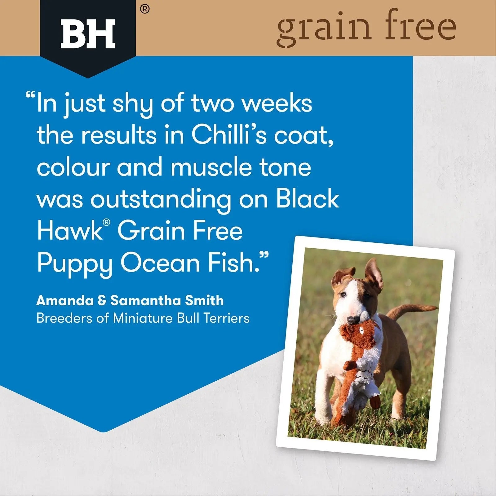 Black Hawk Grain Free Dog Food Puppy Ocean Fish - Kellyville Pets
