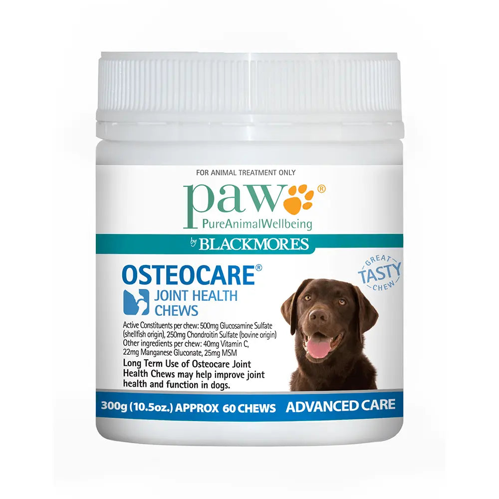 Blackmores PAW Osteo Care Dog Chews for Joint Health - Kellyville Pets