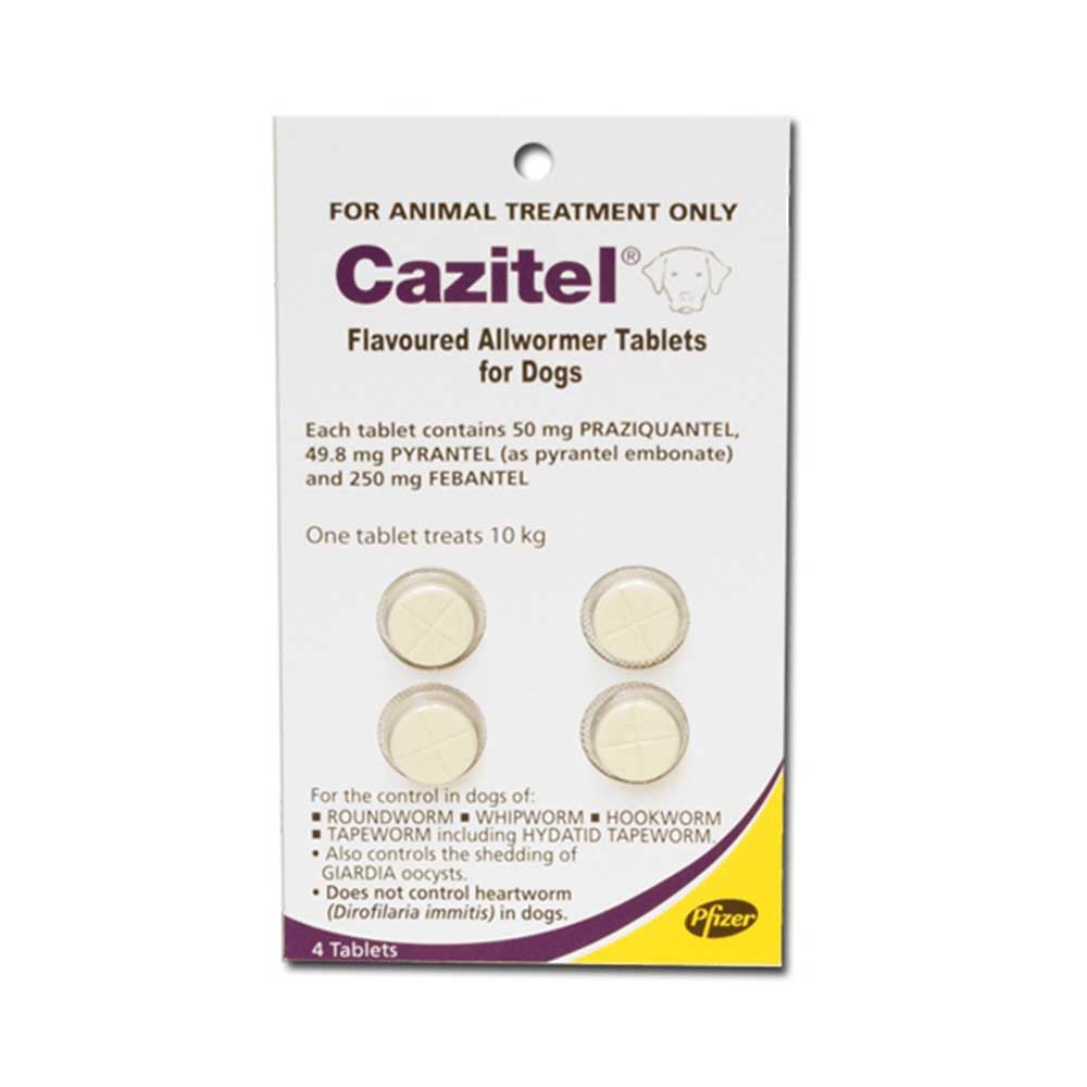 Cazitel Worming Tablet for Dogs