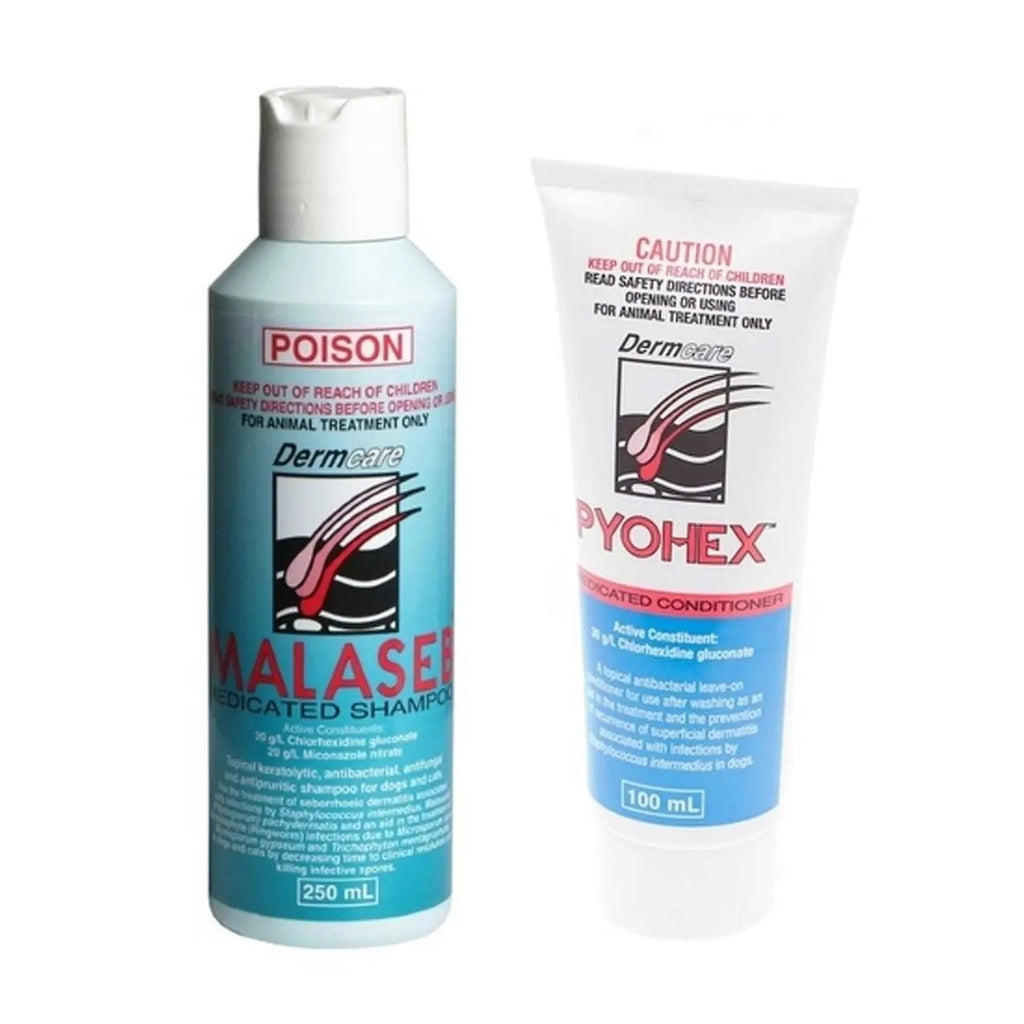 Dermcare Malaseb Pyohex Pack - Main Image