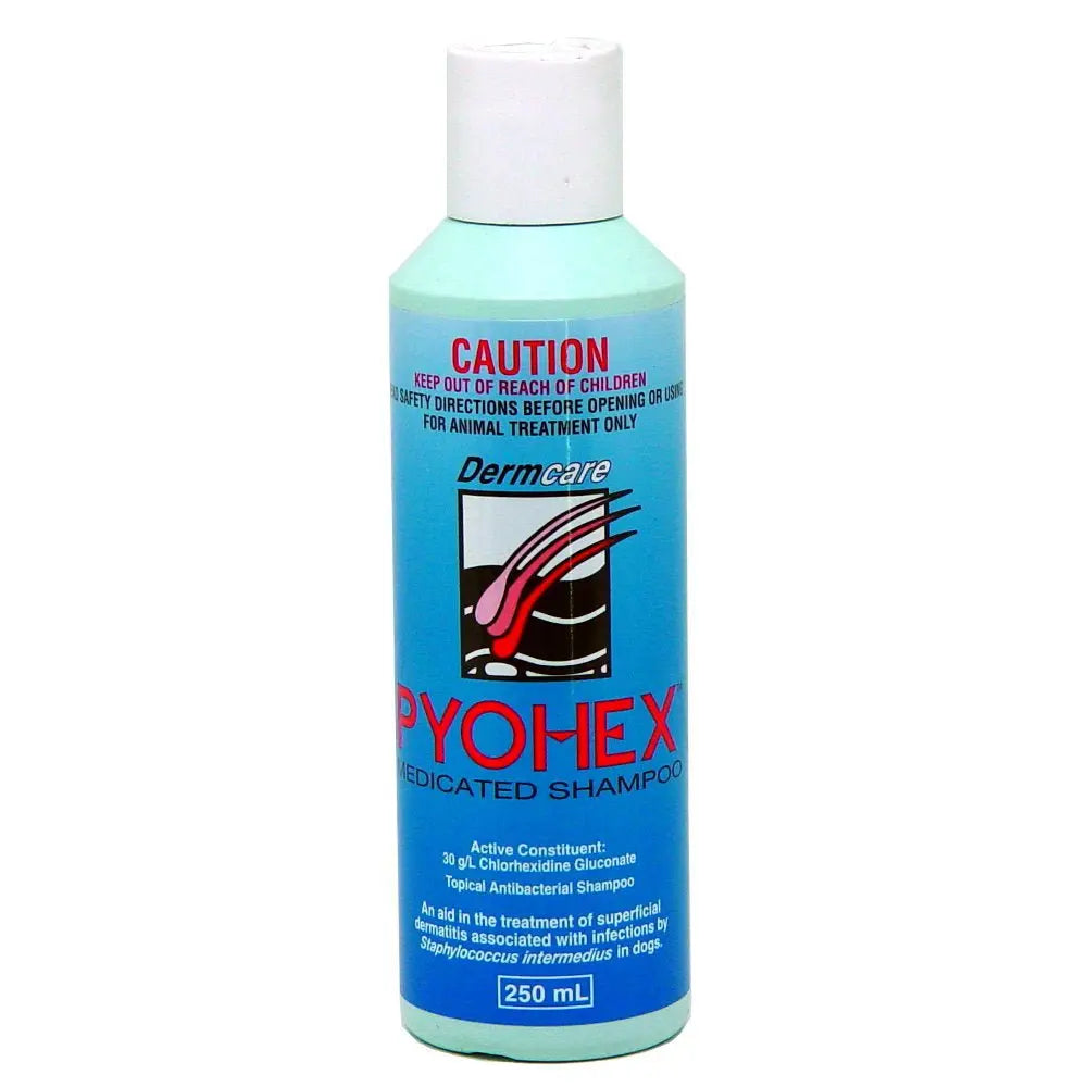 Dermcare Pyohex Medicated Shampoo - Kellyville Pets