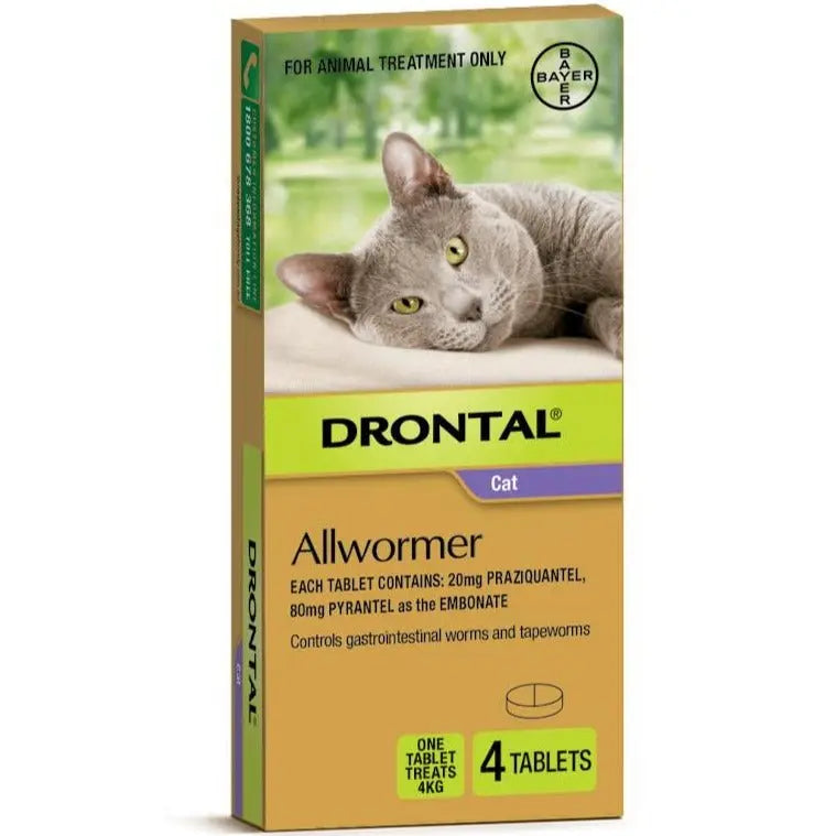 Drontal Allwormer For Cats - Kellyville Pets