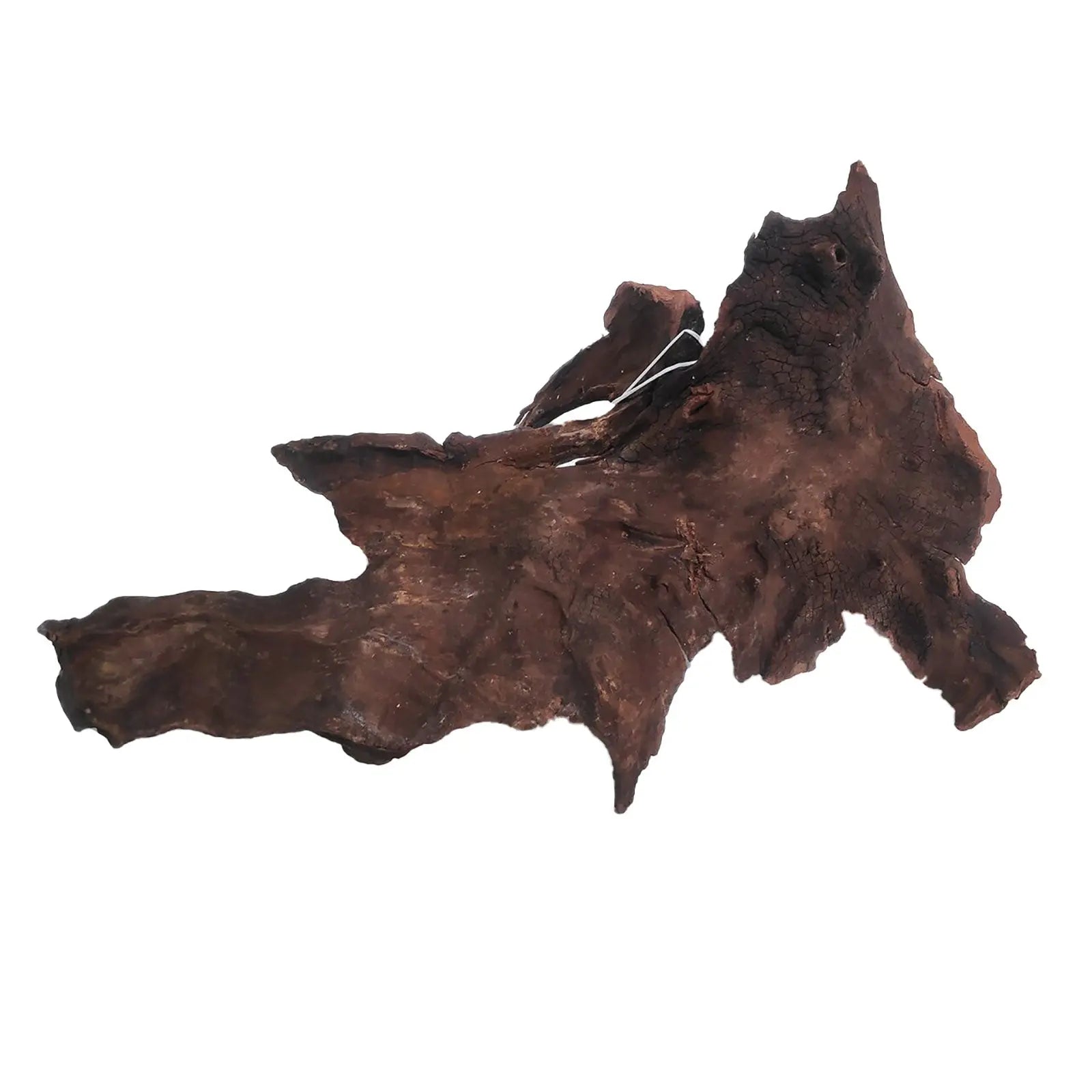 Dymax Driftwood - Kellyville Pets