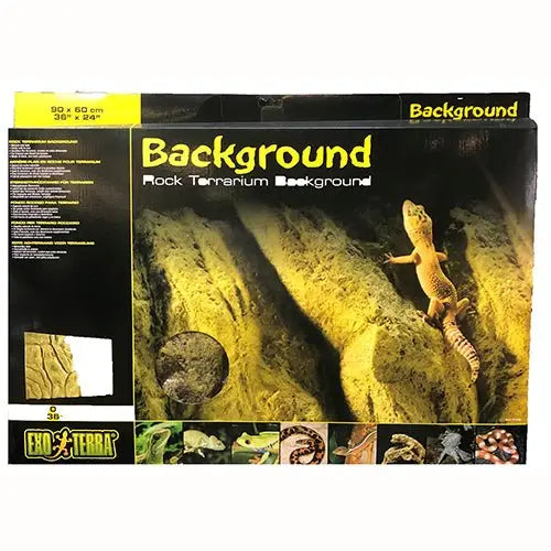 Exo Terra Background 36x24 - Kellyville Pets
