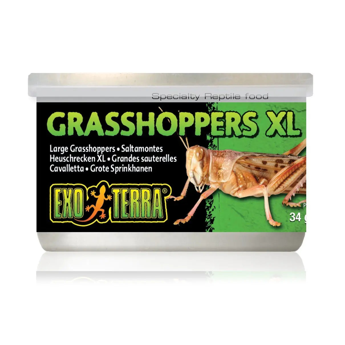 Exo Terra Canned Grasshoppers - Kellyville Pets