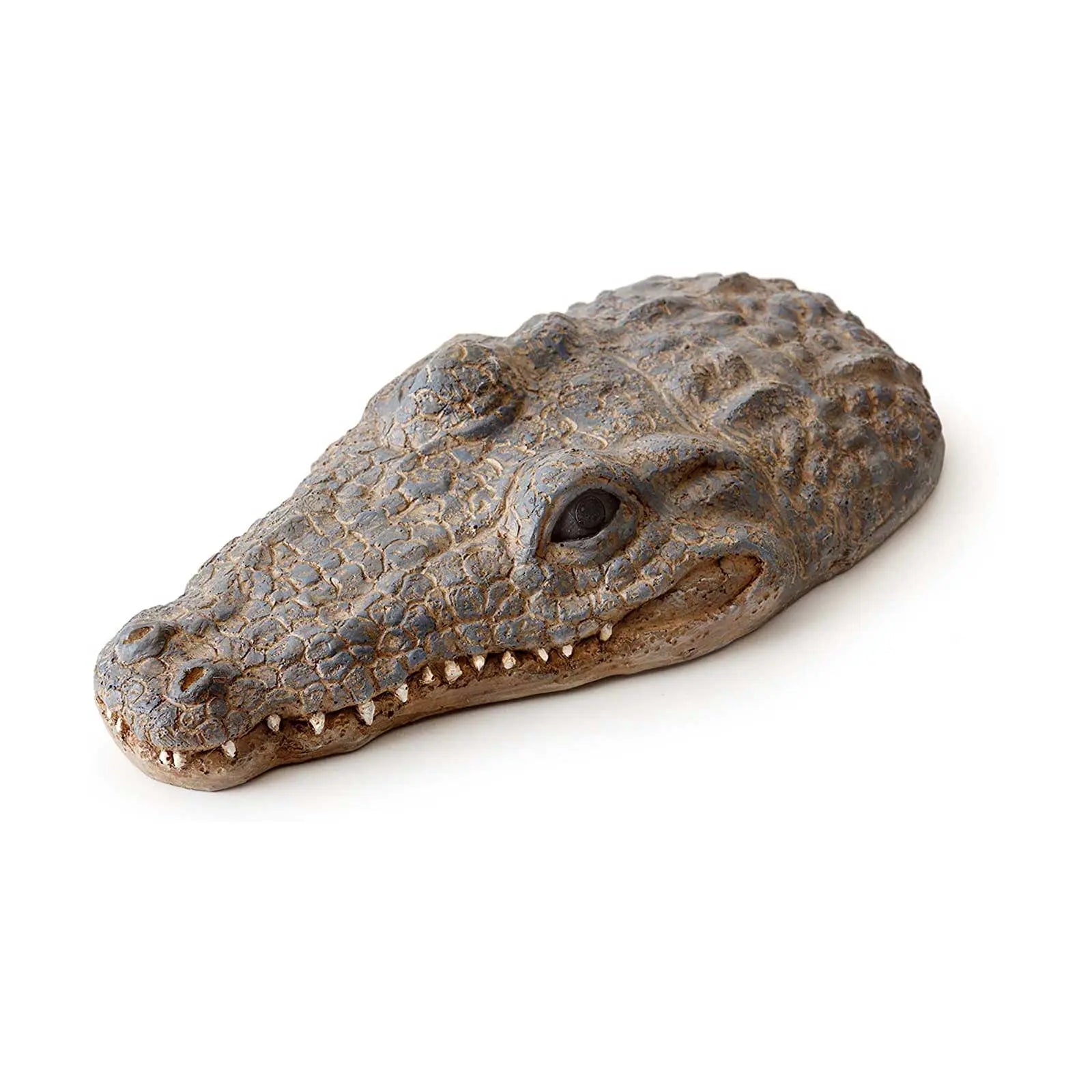 Exo Terra Floating Turtle Island Croco - Kellyville Pets