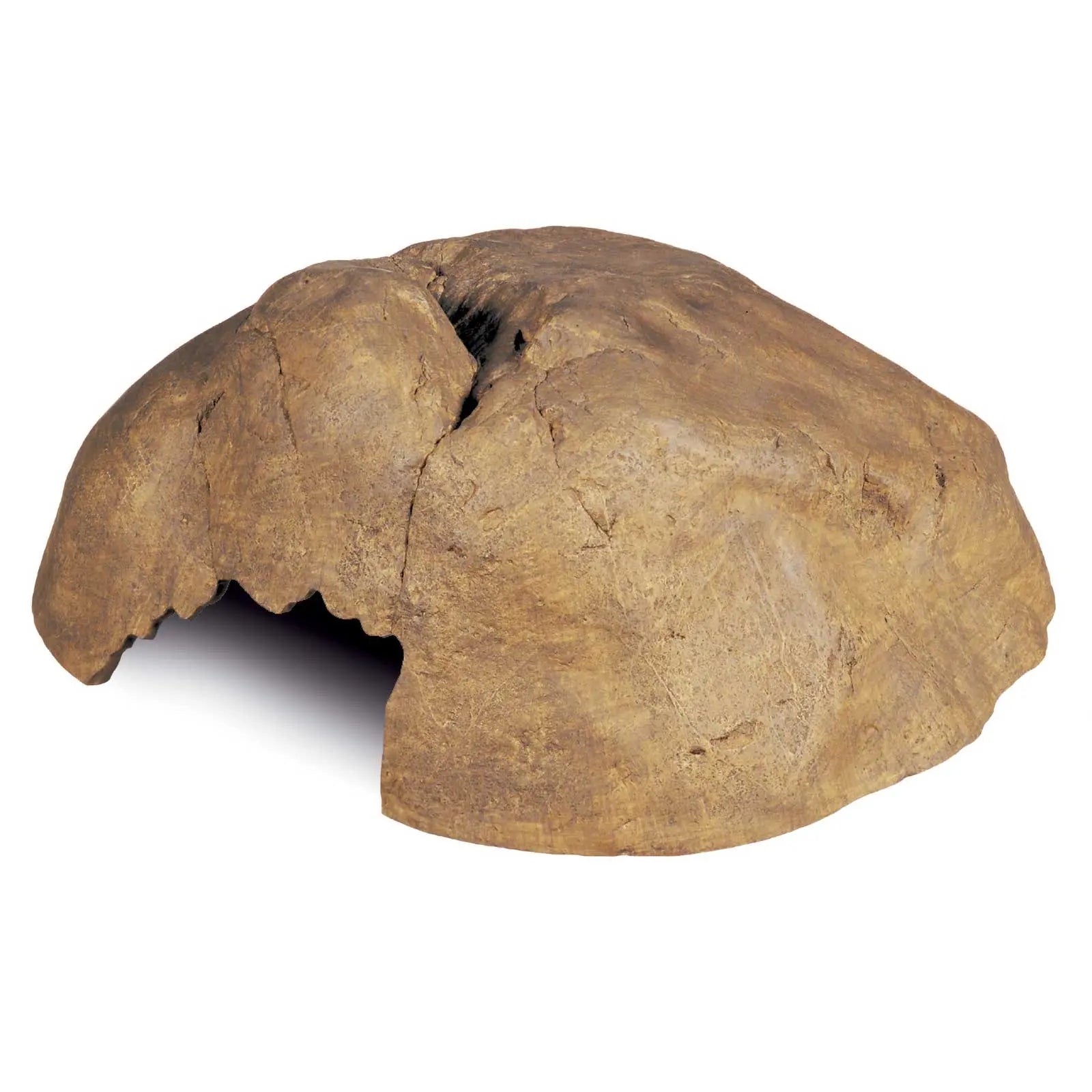 Exo Terra Hiding Cave - Kellyville Pets