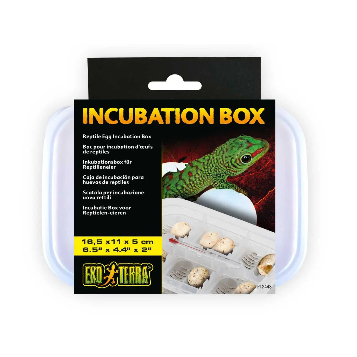 Exo Terra Incubation Box - Kellyville Pets