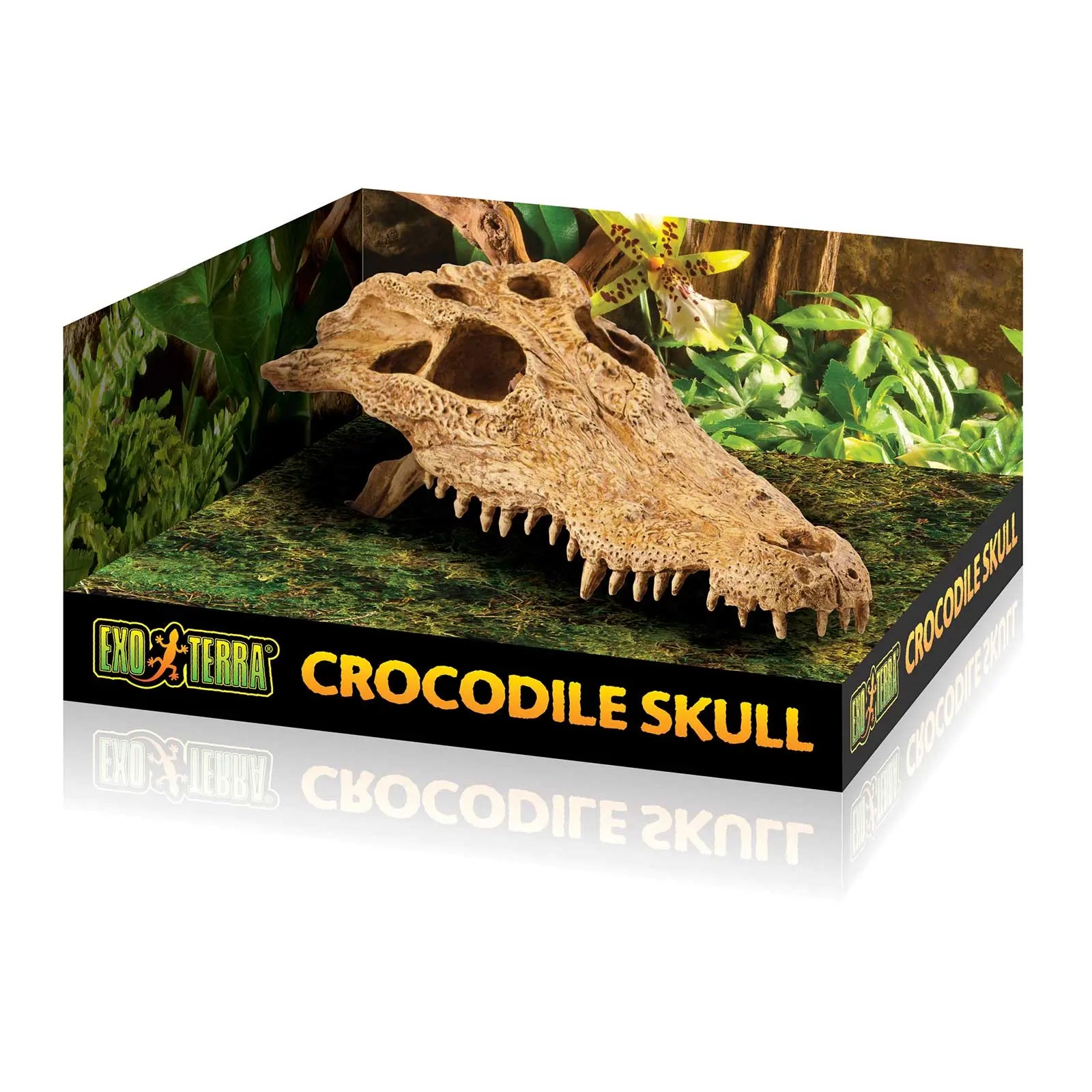 Exo Terra Ornament Crocodile Skull - Kellyville Pets