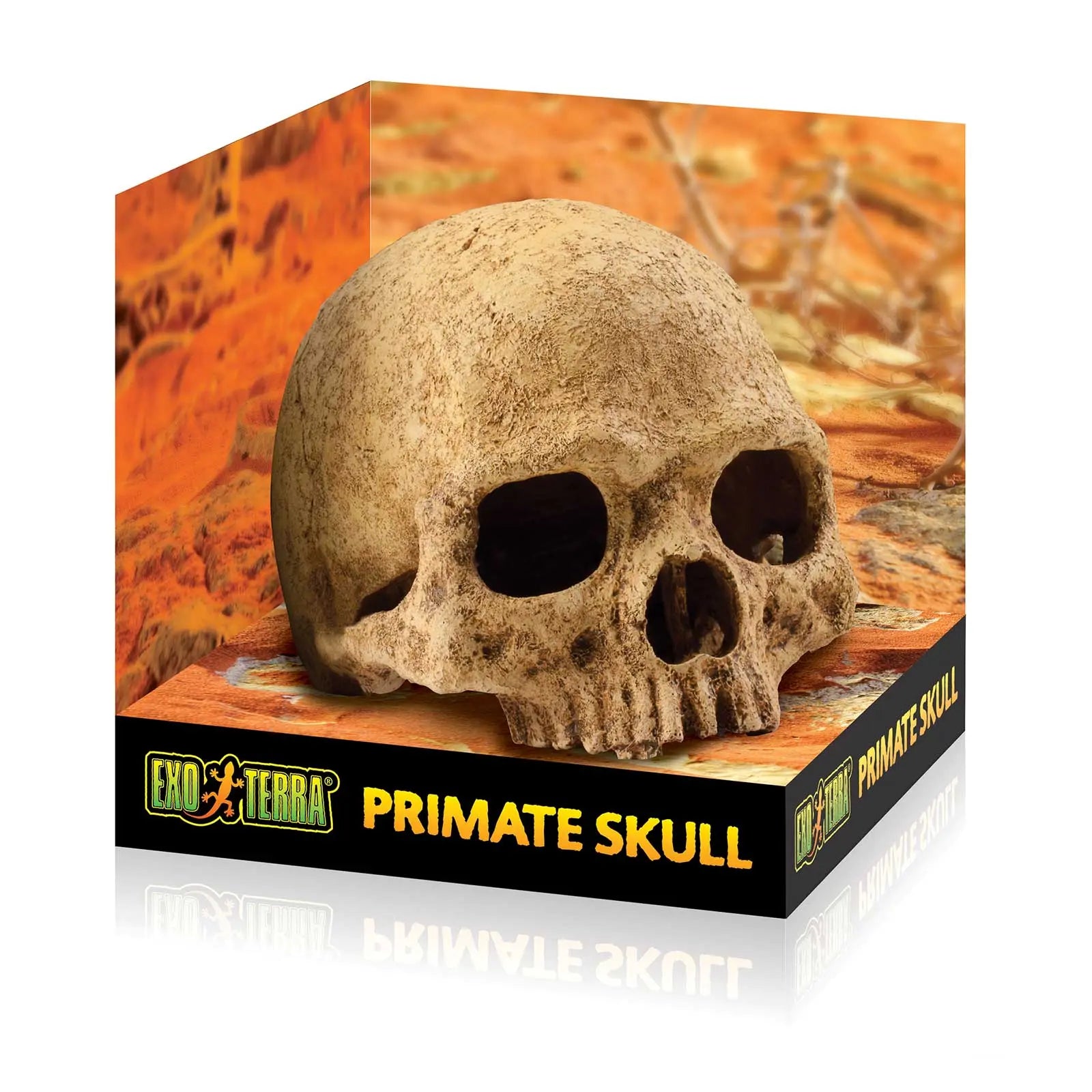 Exo Terra Ornament Primate Skull - Kellyville Pets