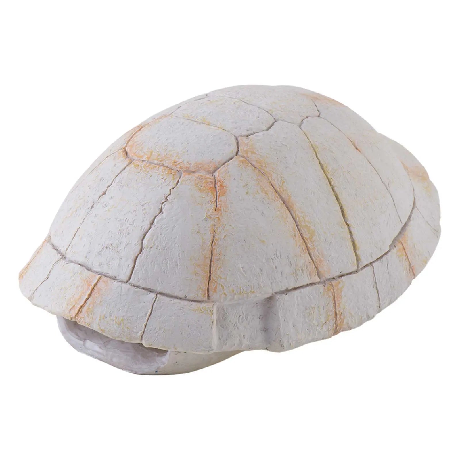 Exo Terra Ornament Tortoise Skeleton - Kellyville Pets