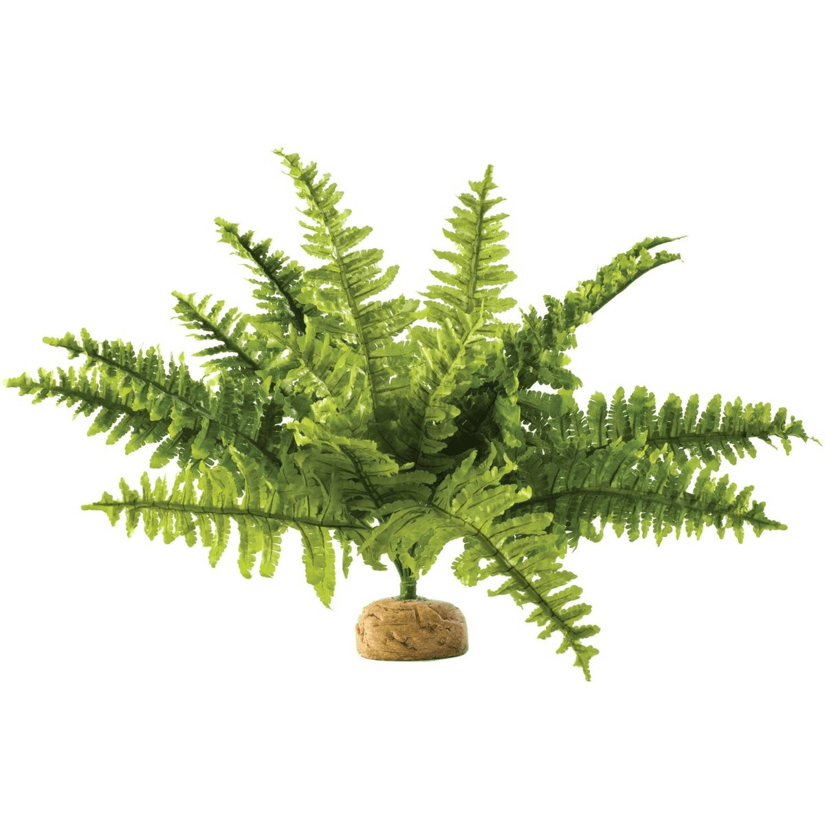 Exo Terra Plant Boston Fern - Kellyville Pets