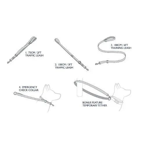 EzyDog Vario 4 Dog Lead - Kellyville Pets