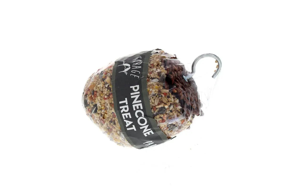 Forage Pinecone Bird Treat - Kellyville Pets