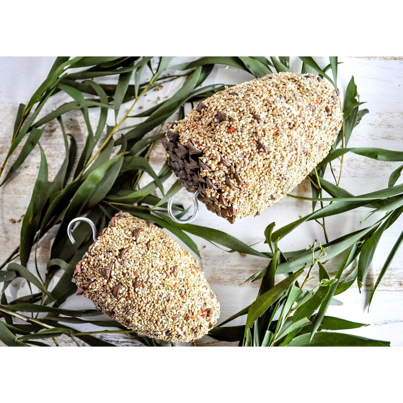 Forage Pinecone Bird Treat - Kellyville Pets