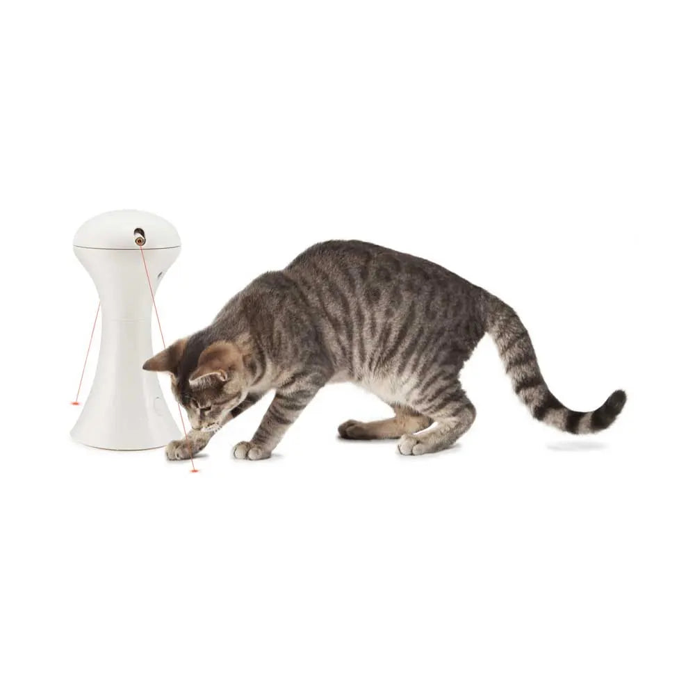 Frolicat Multi Laser Cat Toy - Kellyville Pets