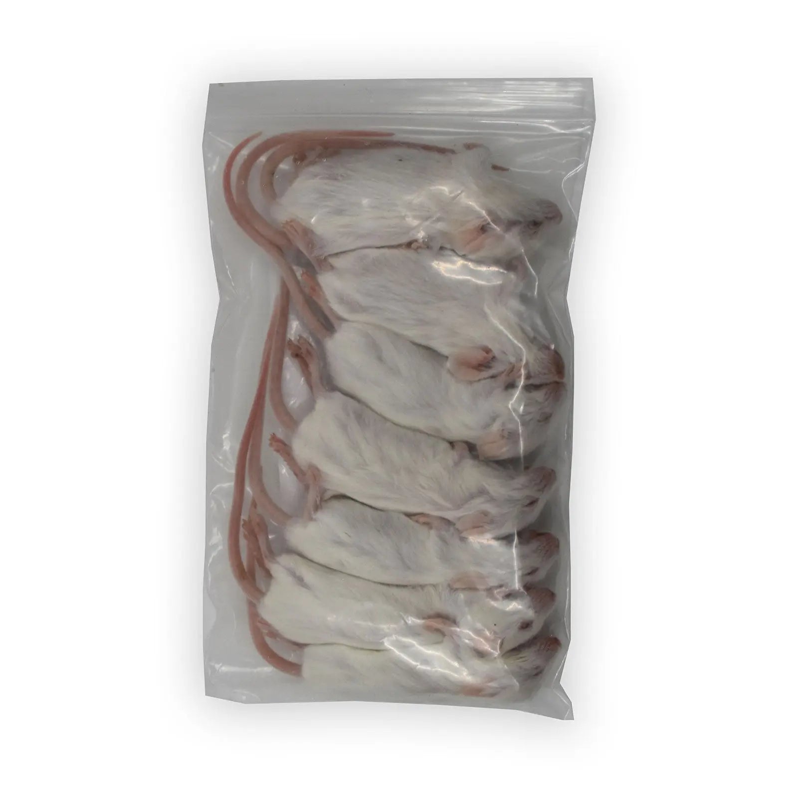 Frozen Mice - Kellyville Pets