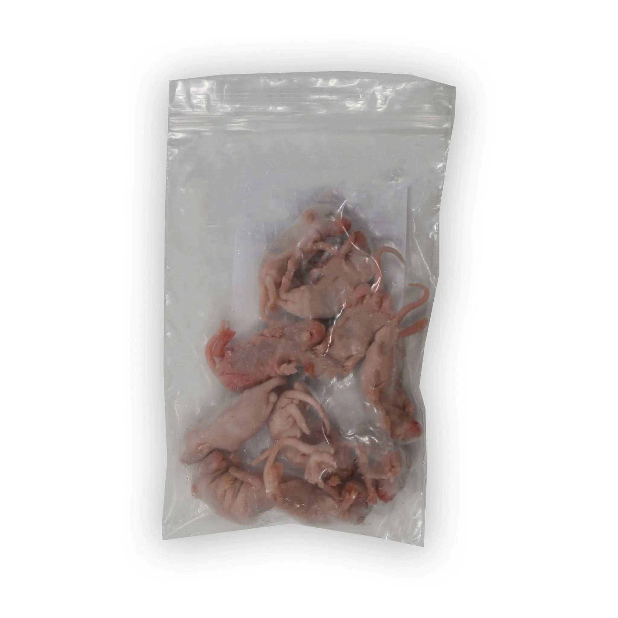 Frozen Mice - Kellyville Pets