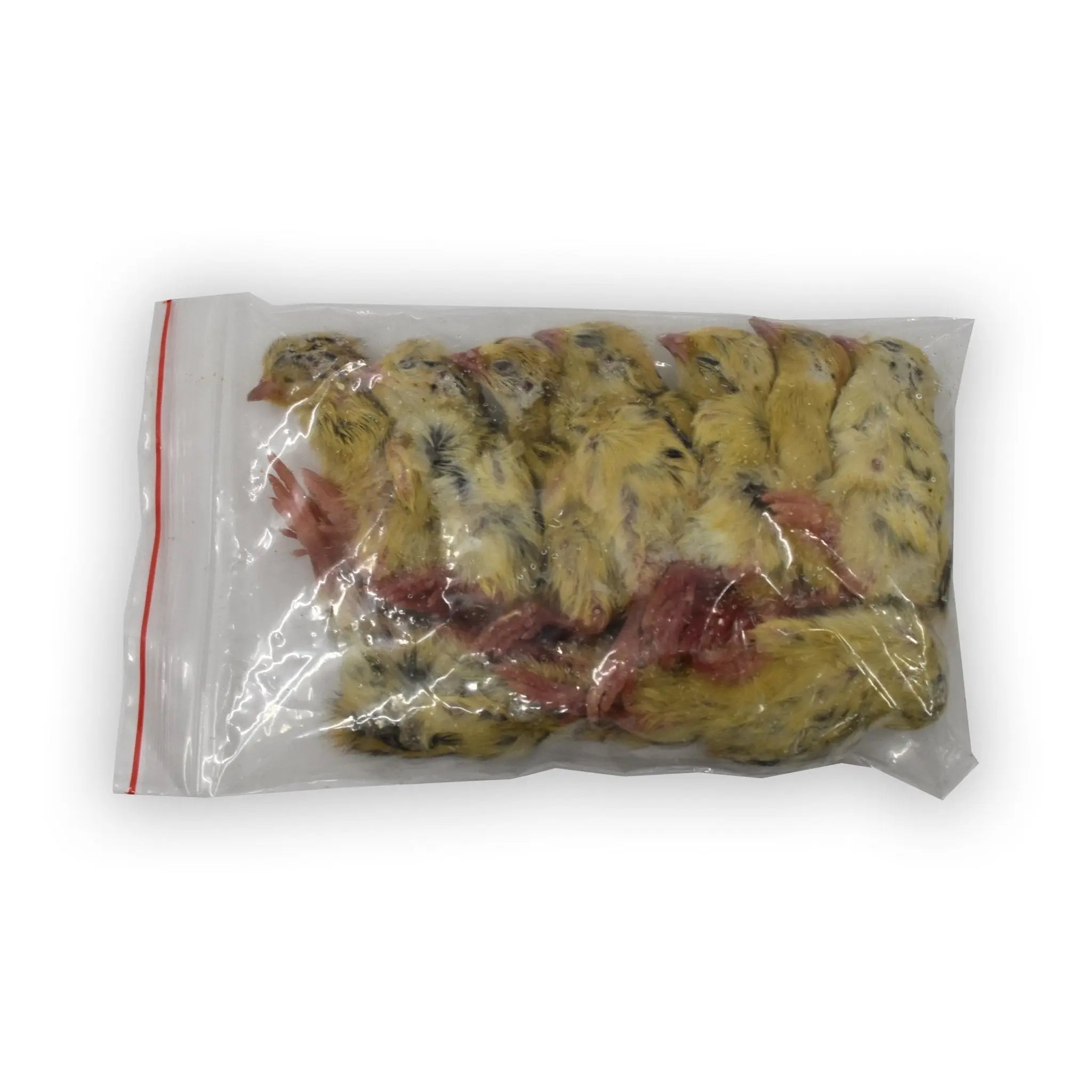 Frozen Quails - Kellyville Pets