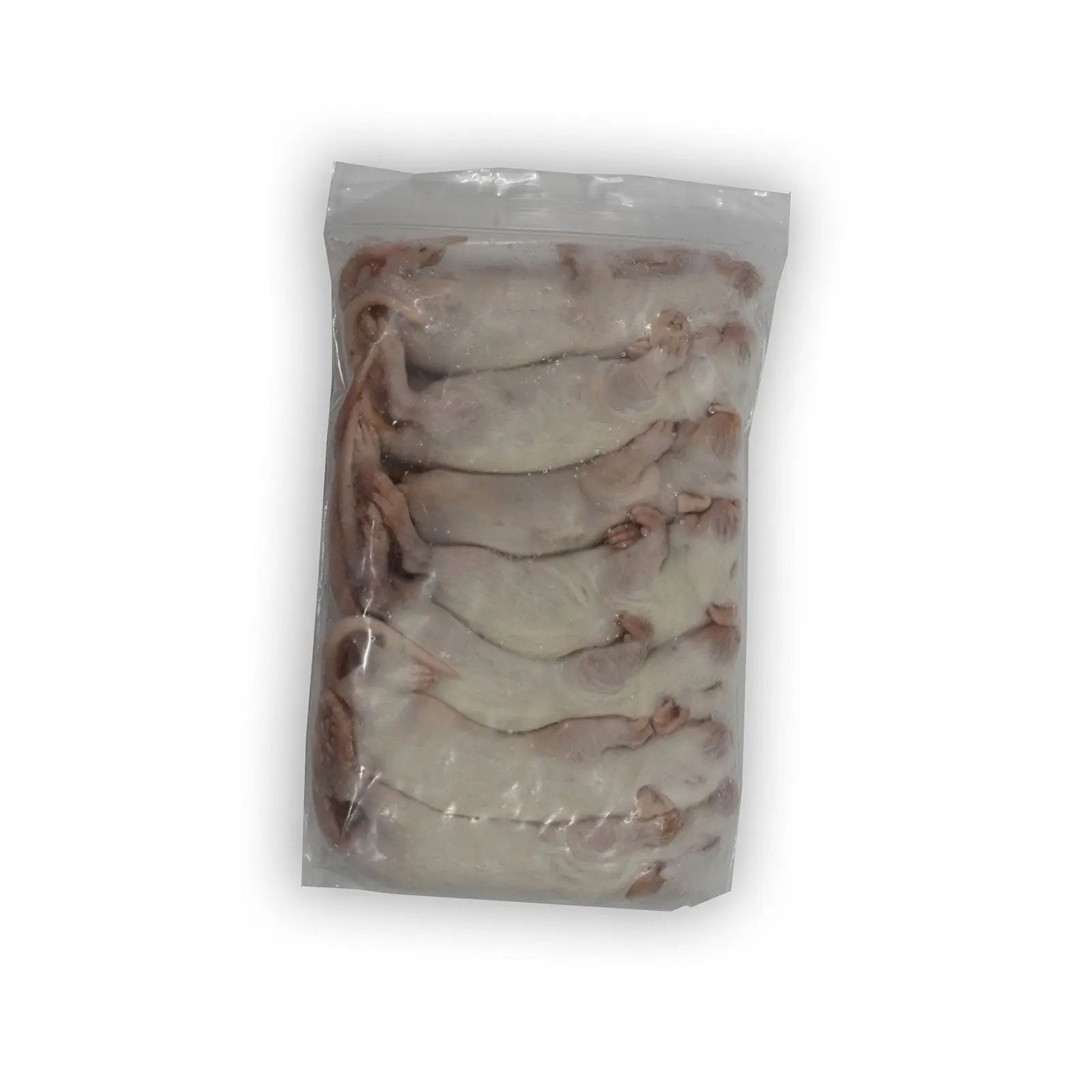 Frozen Rats - Kellyville Pets