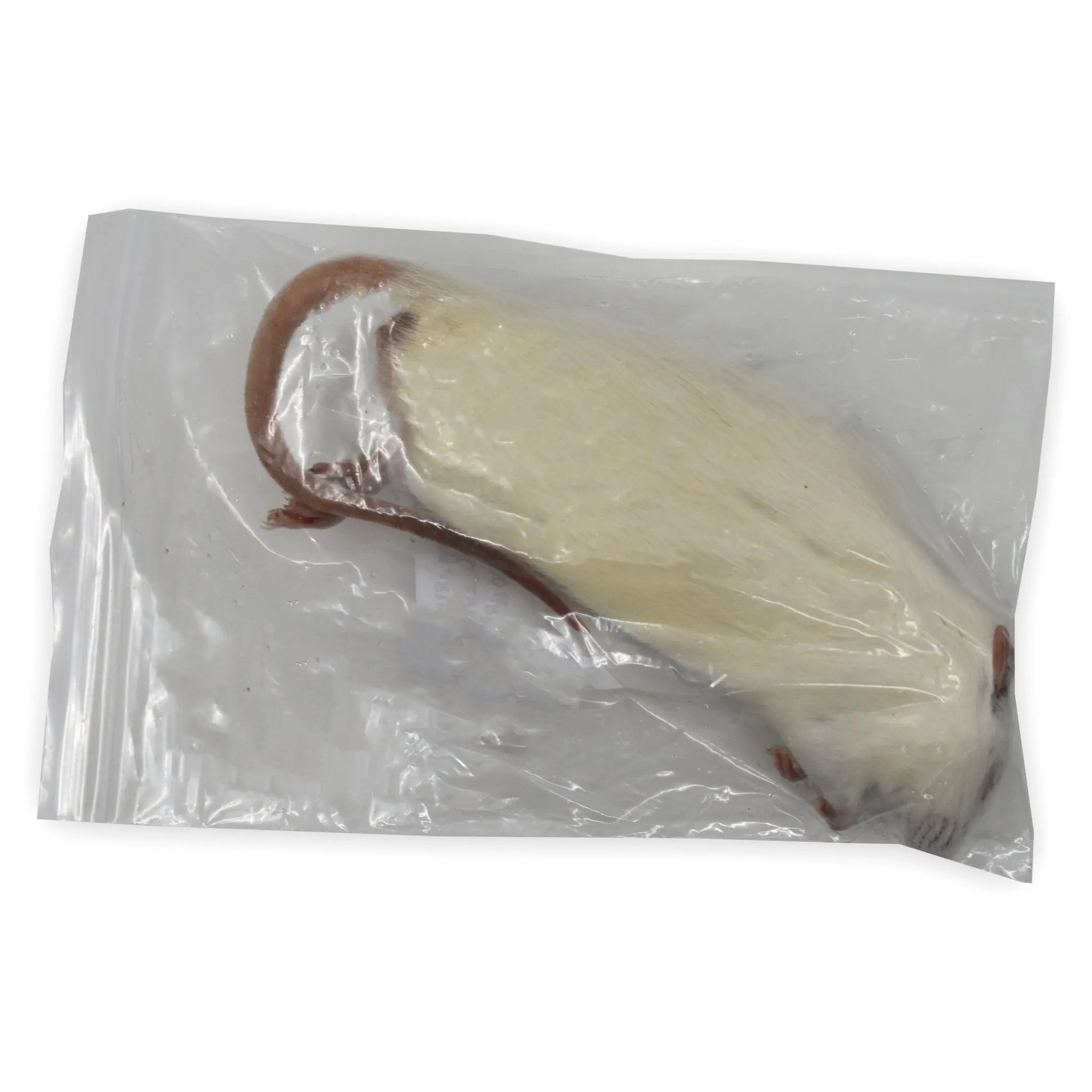 Frozen Rats - Kellyville Pets