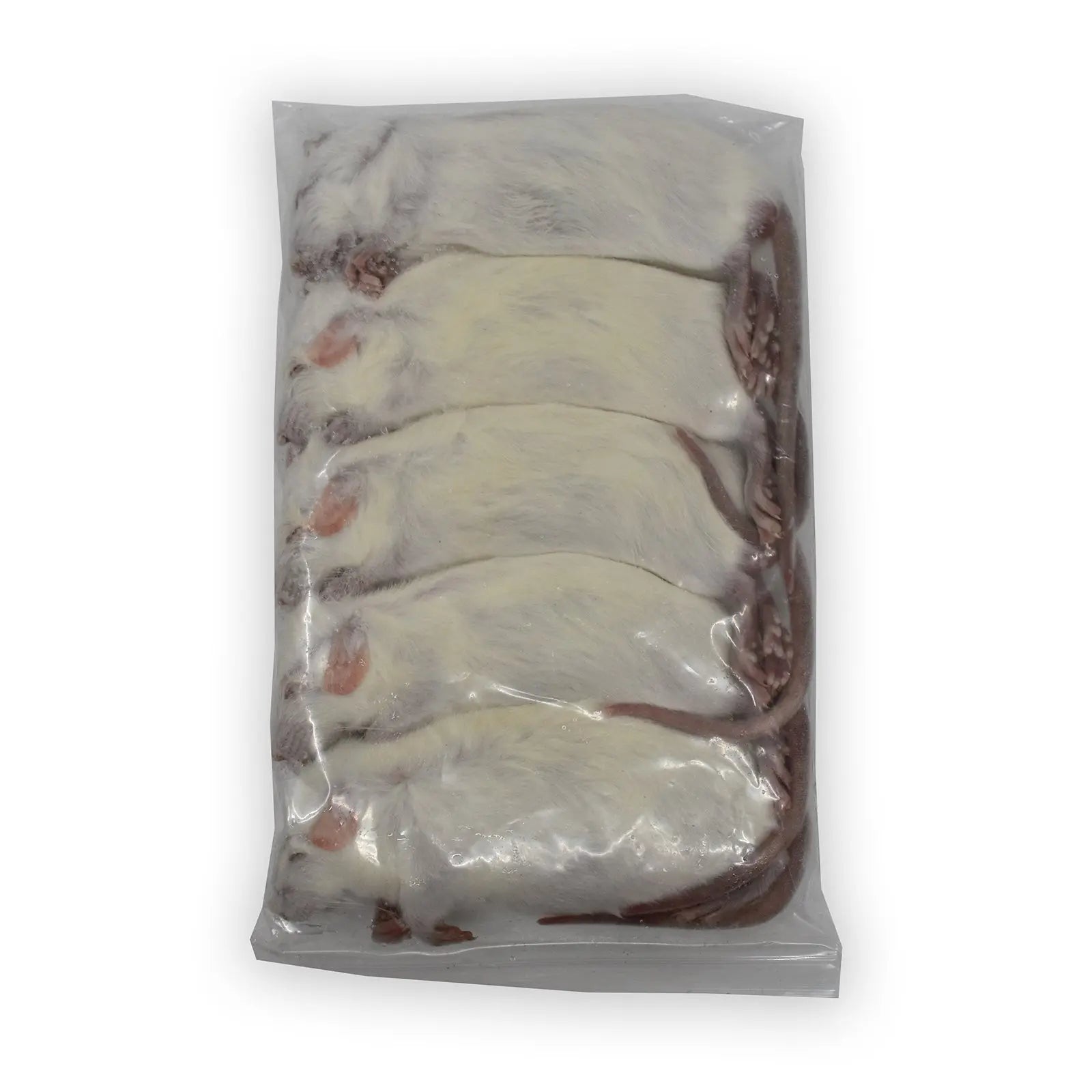 Frozen Rats - Kellyville Pets