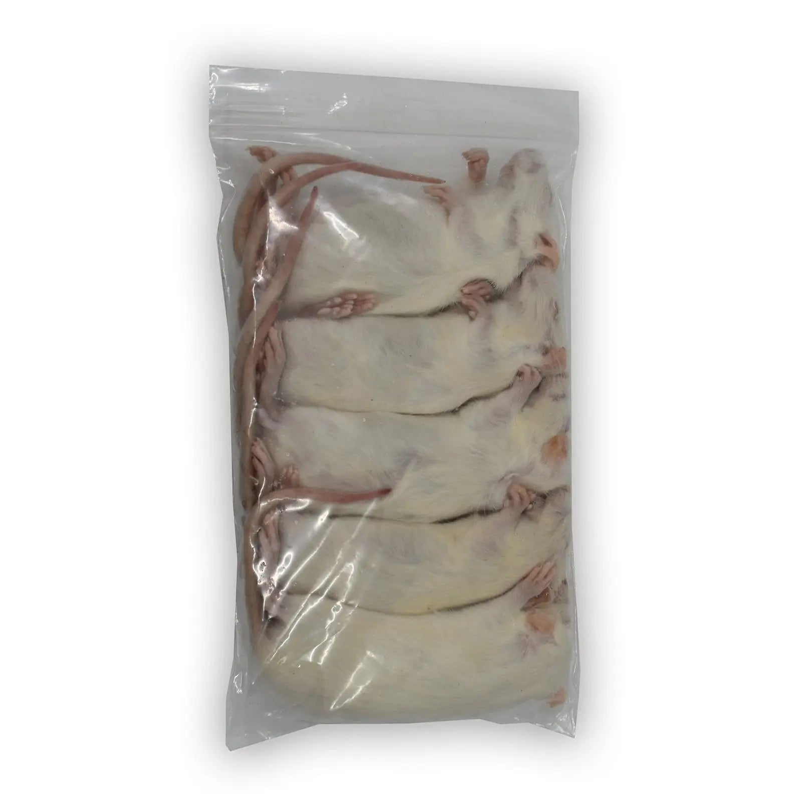 Frozen Rats - Kellyville Pets