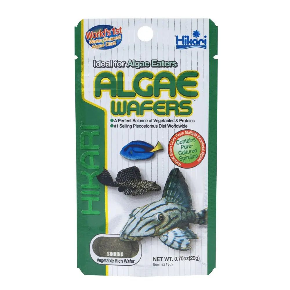 Hikari Algae Wafers - Kellyville Pets