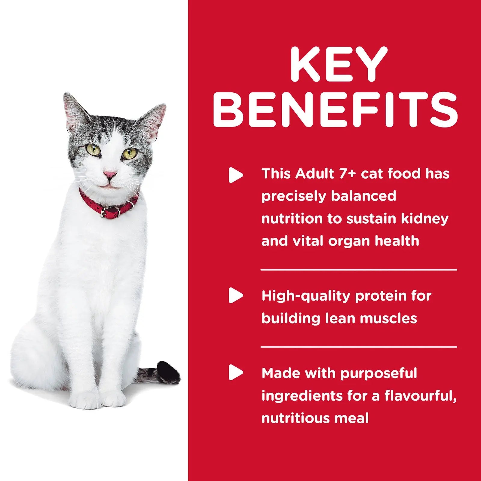 Hill's Science Diet Cat Food Adult 11+ Senior - Kellyville Pets