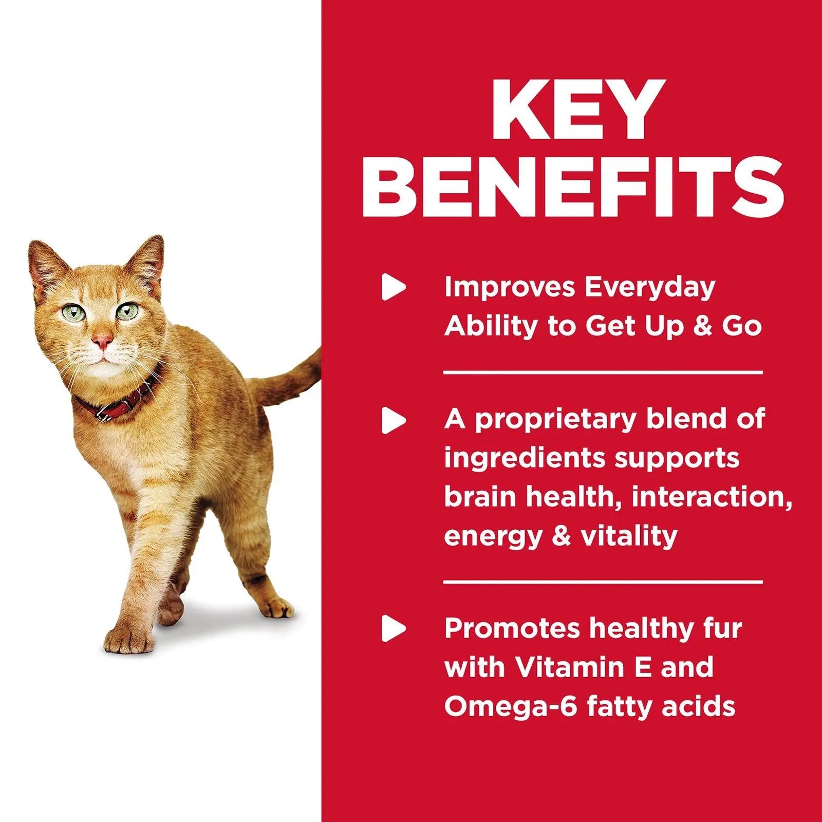 Hill's Science Diet Cat Food Adult 7+ Senior Vitality - Kellyville Pets