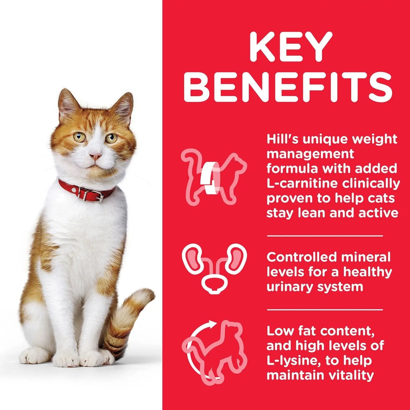 Hill's Science Diet Cat Food Pouch Neutered Cat Salmon - Kellyville Pets