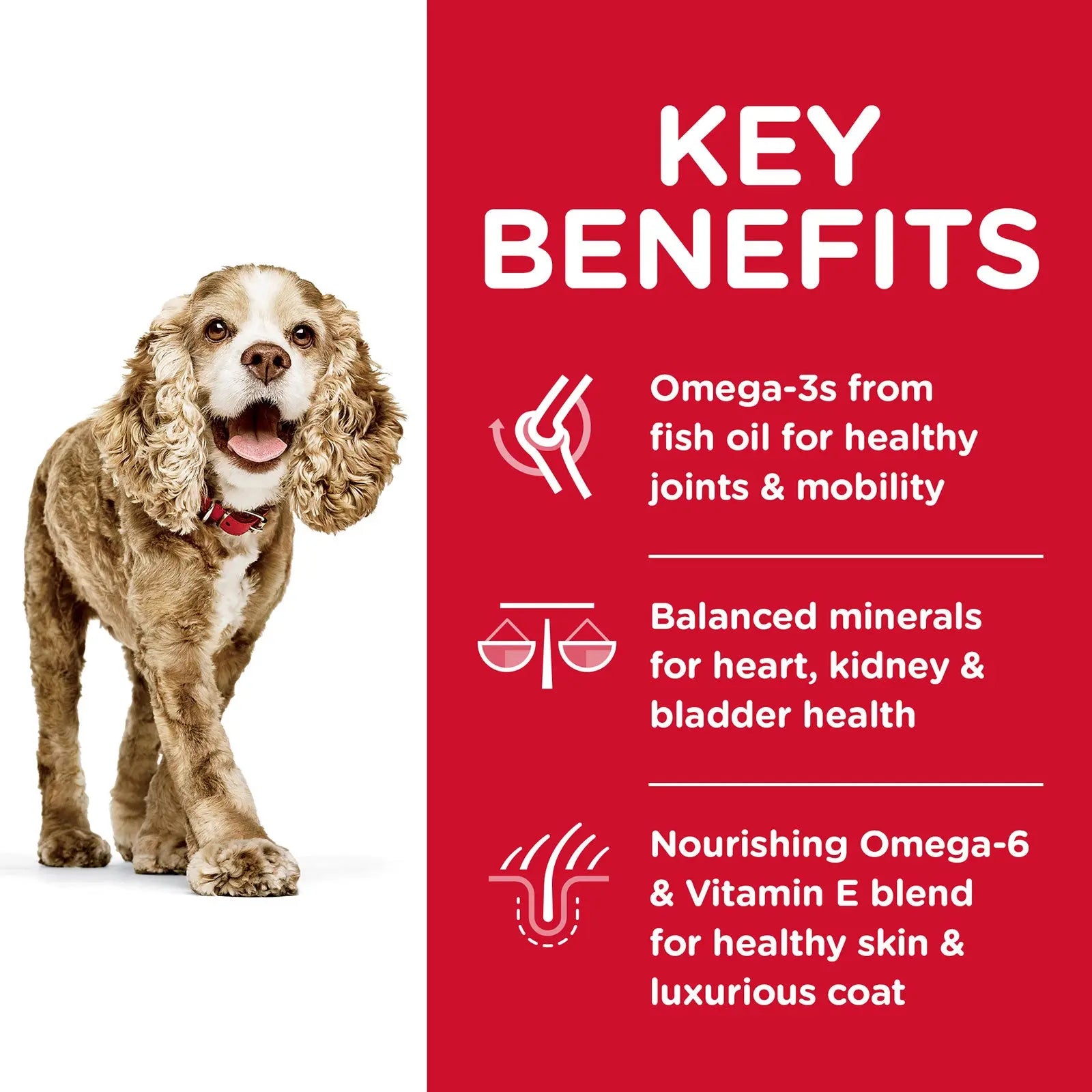 Hill's Science Diet Dog Food Adult 11+ Small Paws Senior - Kellyville Pets