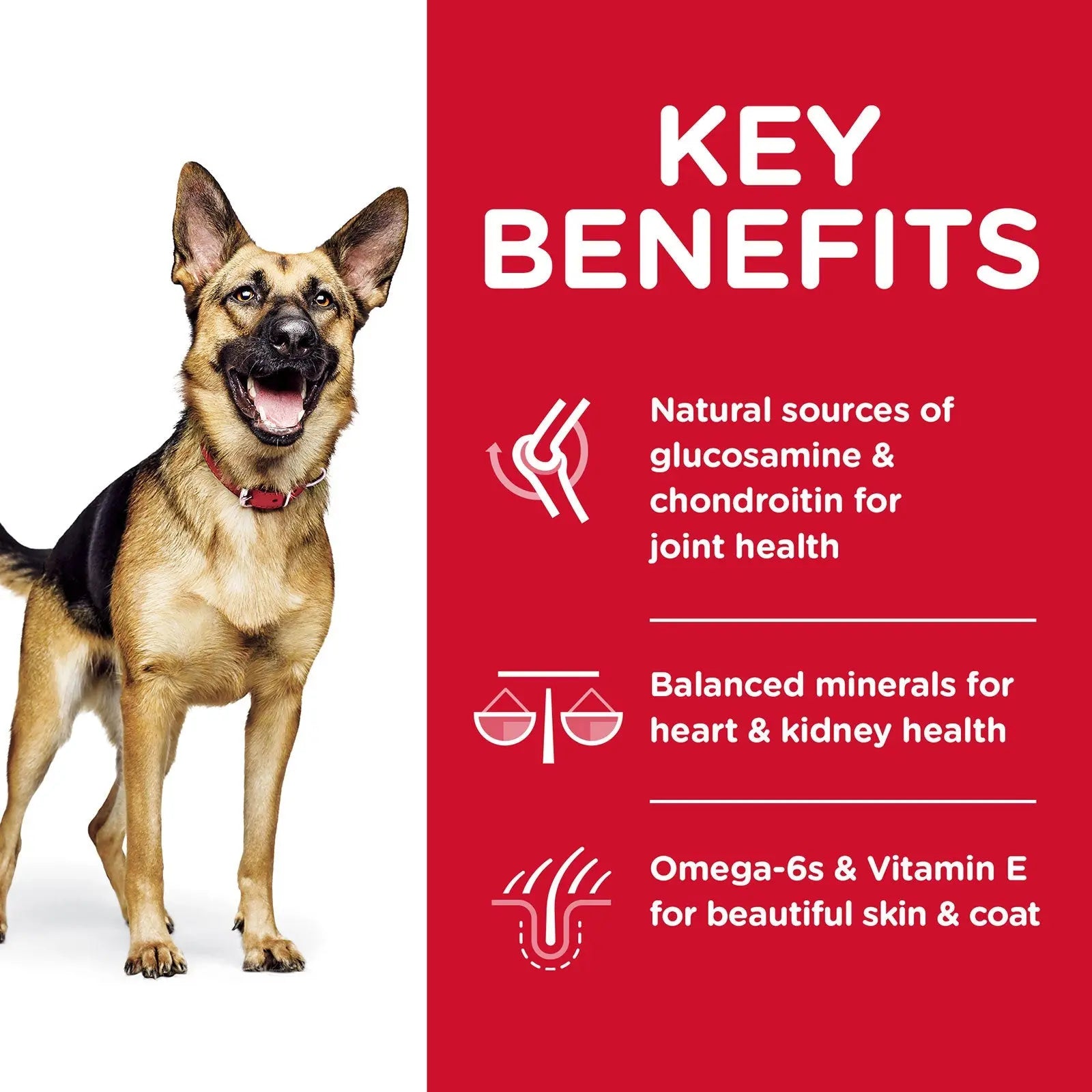 Hill's Science Diet Dog Food Adult 6+ Large Breed Senior - Kellyville Pets