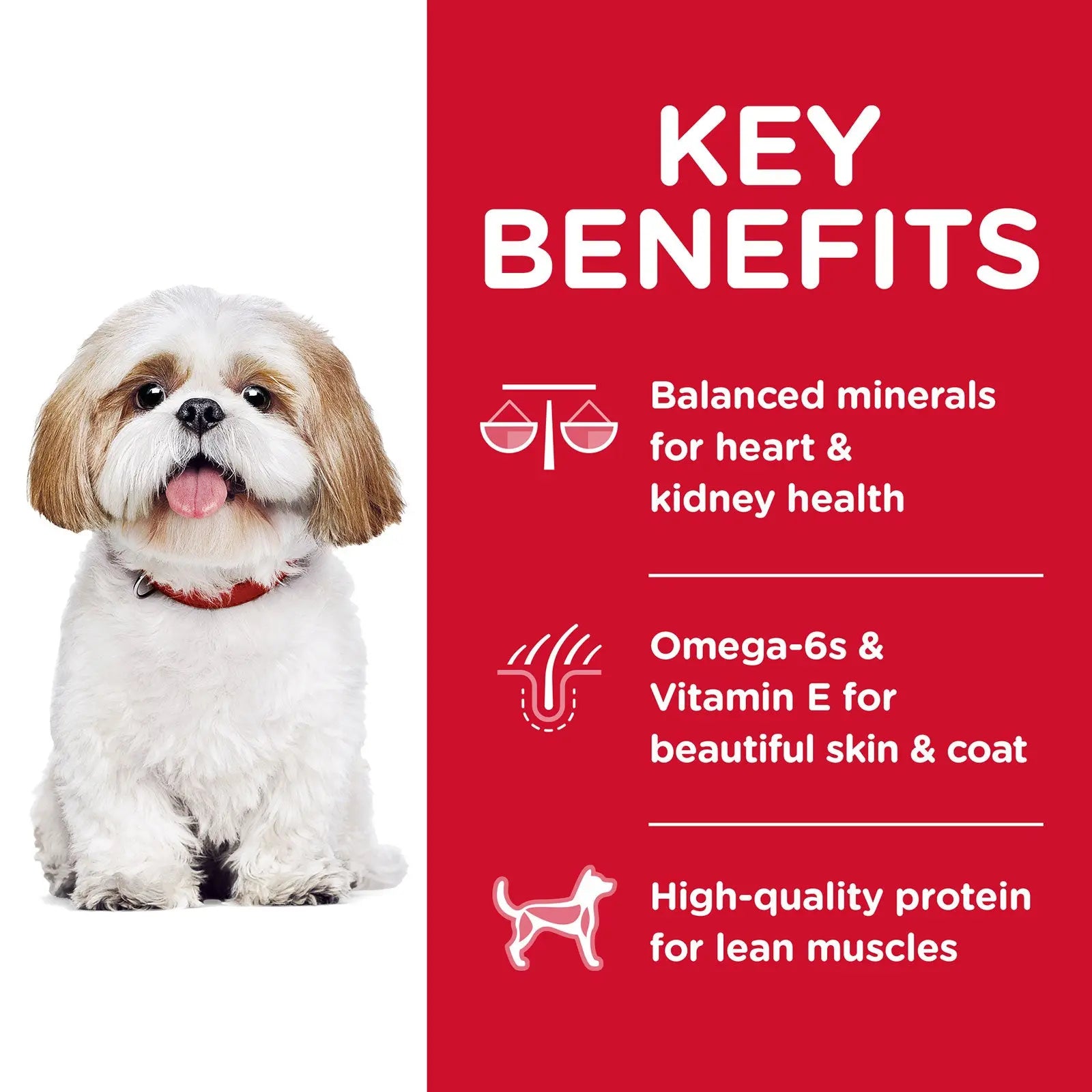 Hill's Science Diet Dog Food Adult 7+ Small Bites Senior - Kellyville Pets