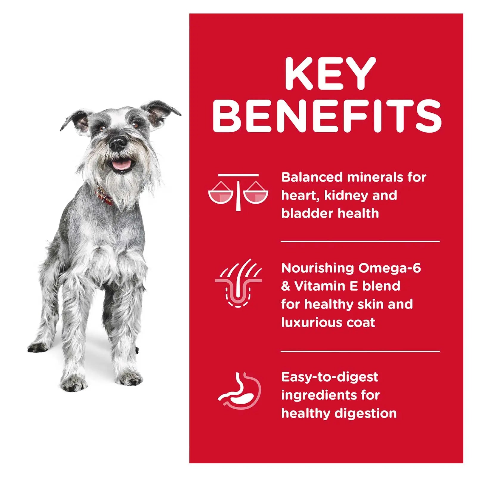 Hill's Science Diet Dog Food Adult 7+ Small Paws Senior - Kellyville Pets