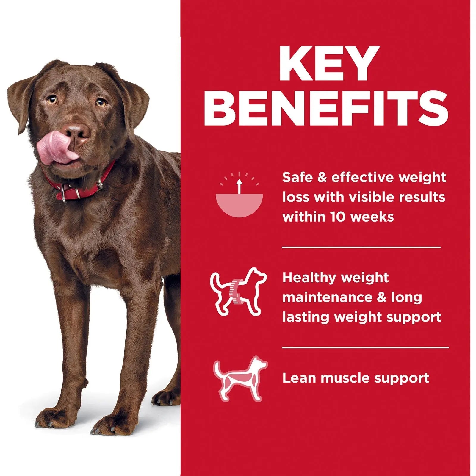 Hill's Science Diet Dog Food Adult Perfect Weight Large Breed - Kellyville Pets