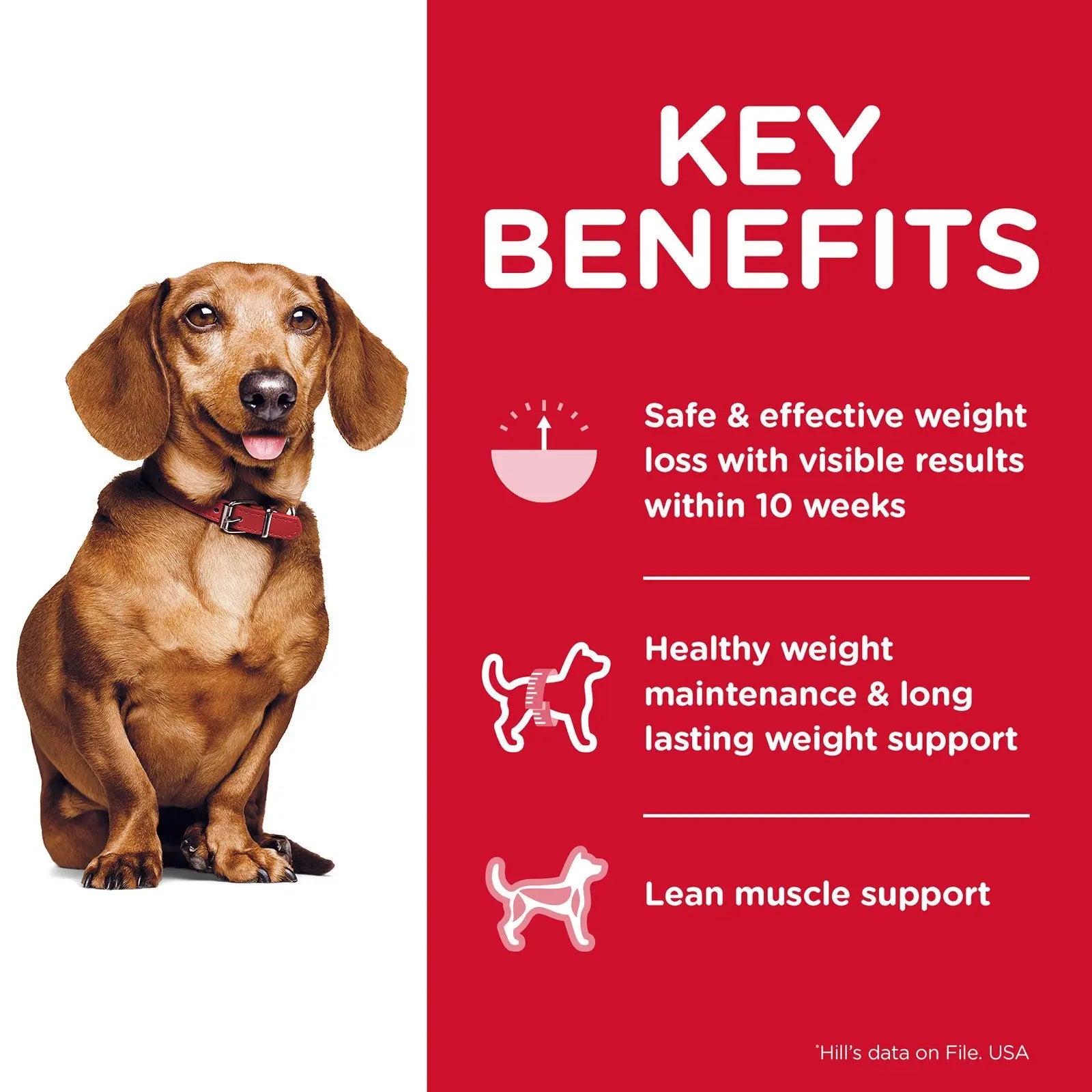 Hill's Science Diet Dog Food Adult Perfect Weight Small & Mini Breed - Kellyville Pets