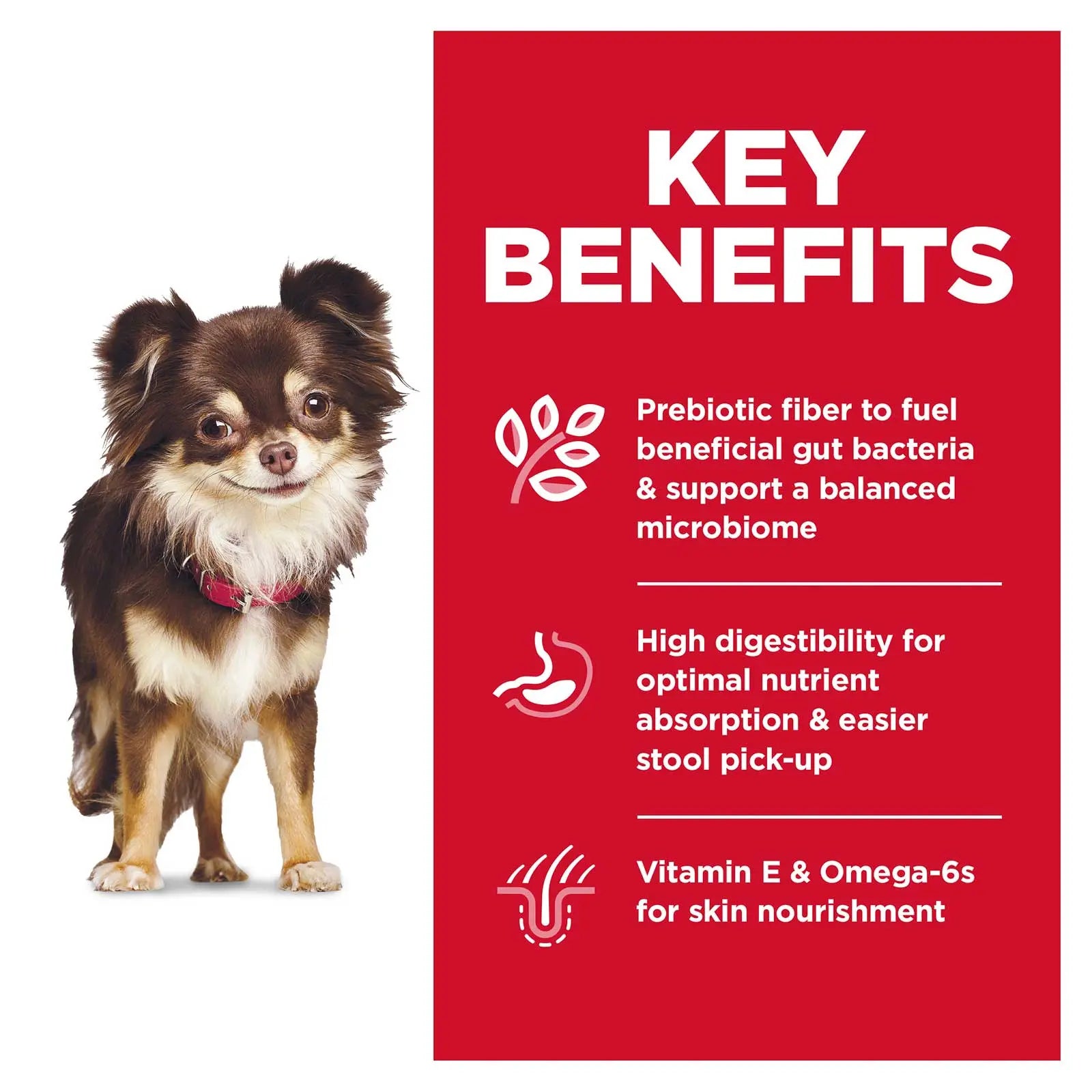 Hill's Science Diet Dog Food Adult Sensitive Stomach & Skin Small and Mini Breed - Kellyville Pets