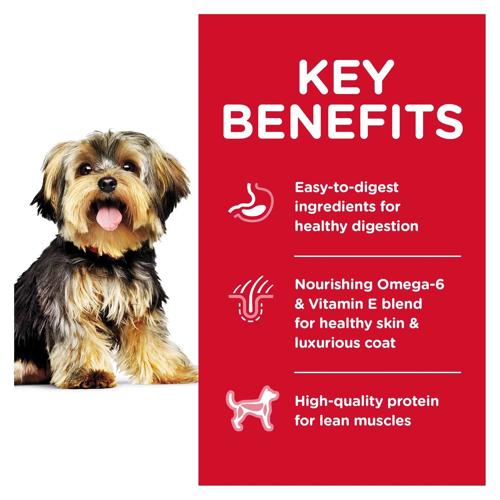 Hill's Science Diet Dog Food Adult Small Paws Chicken - Kellyville Pets