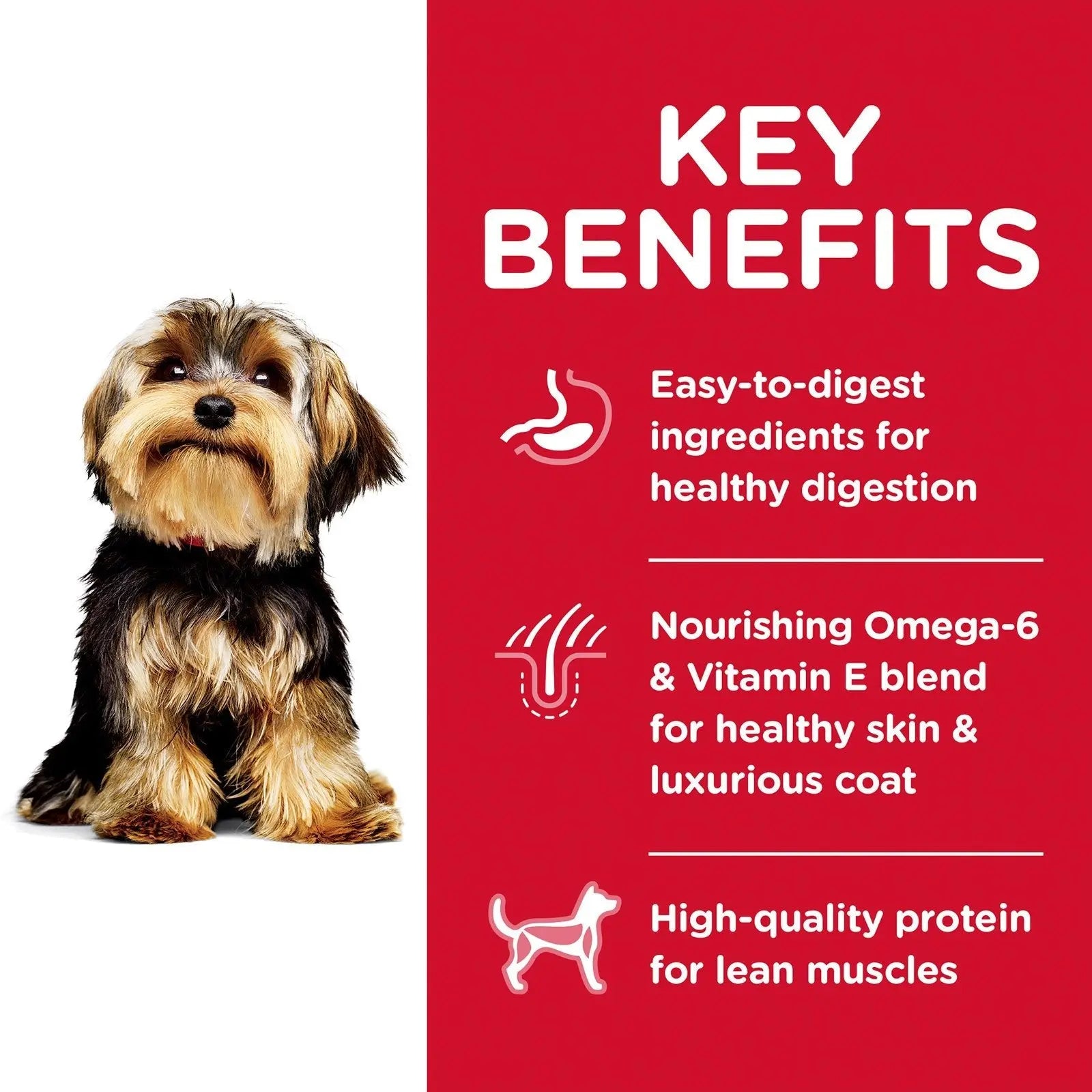 Hill's Science Diet Dog Food Adult Small Paws Lamb Meal & Brown Rice - Kellyville Pets