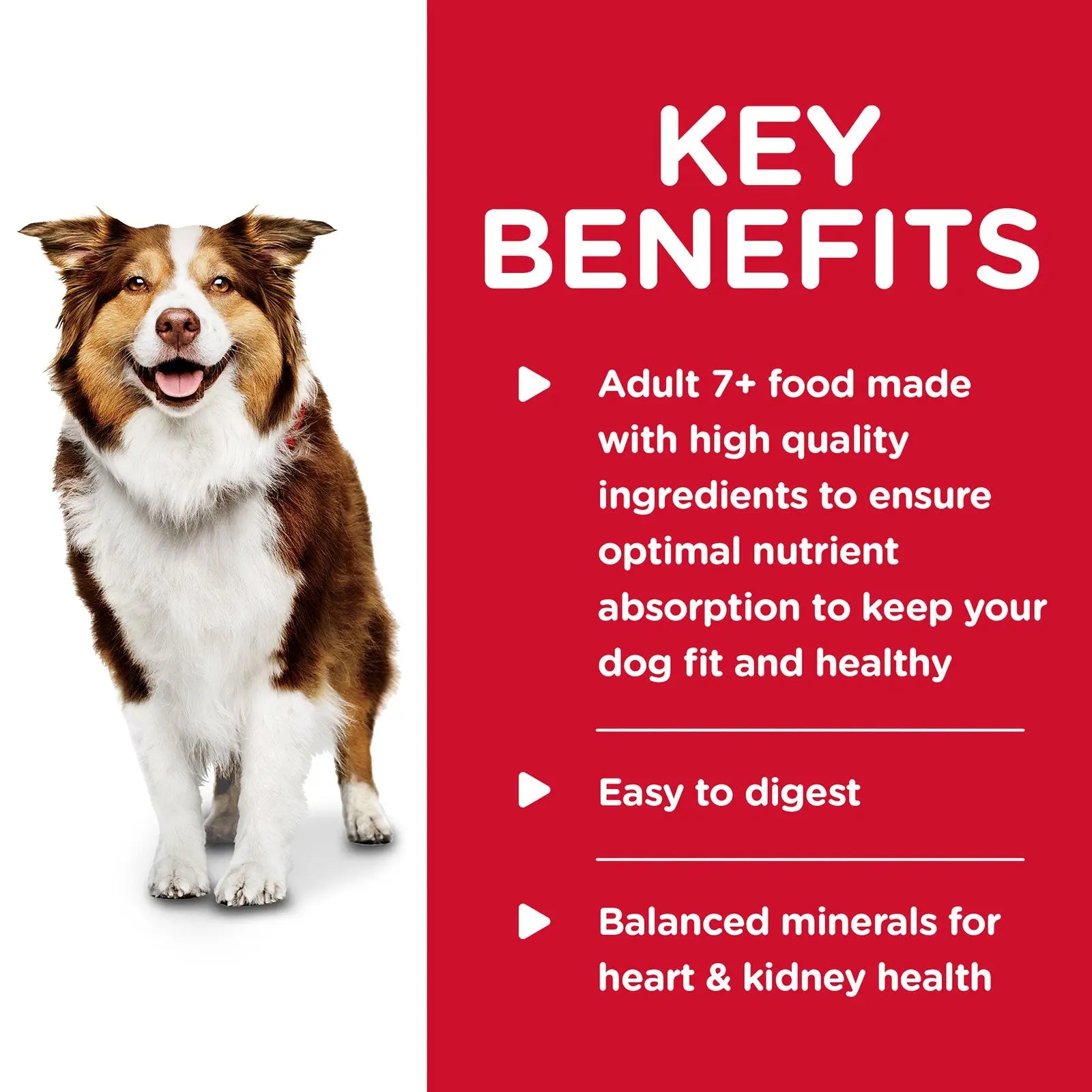 Hill's Science Diet Dog Food Can Adult 7+ Savoury Stew Beef & Vegetables - Kellyville Pets