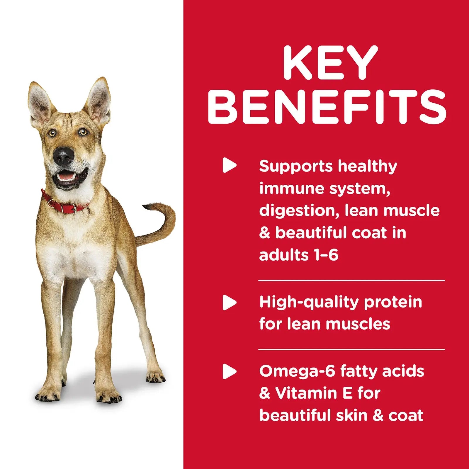 Hill's Science Diet Dog Food Can Adult Beef & Barley Entrée - Kellyville Pets