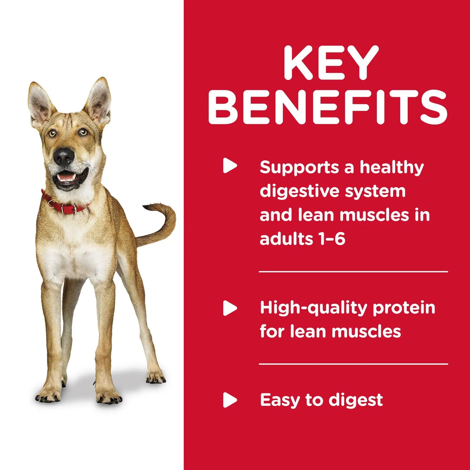 Hill's Science Diet Dog Food Can Adult Savoury Stew Beef & Vegetables - Kellyville Pets