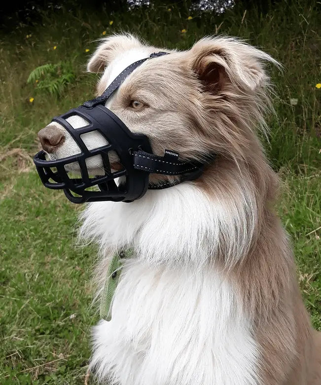 Huskimo Specialist Freedom Dog Muzzle - Kellyville Pets