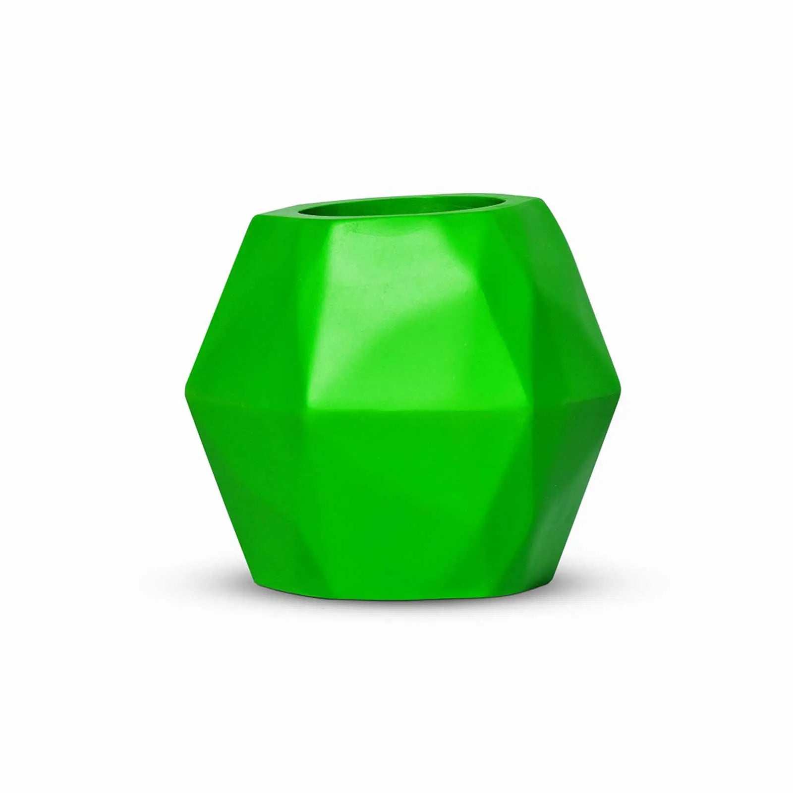 Insectimo Branch Jar - Kellyville Pets