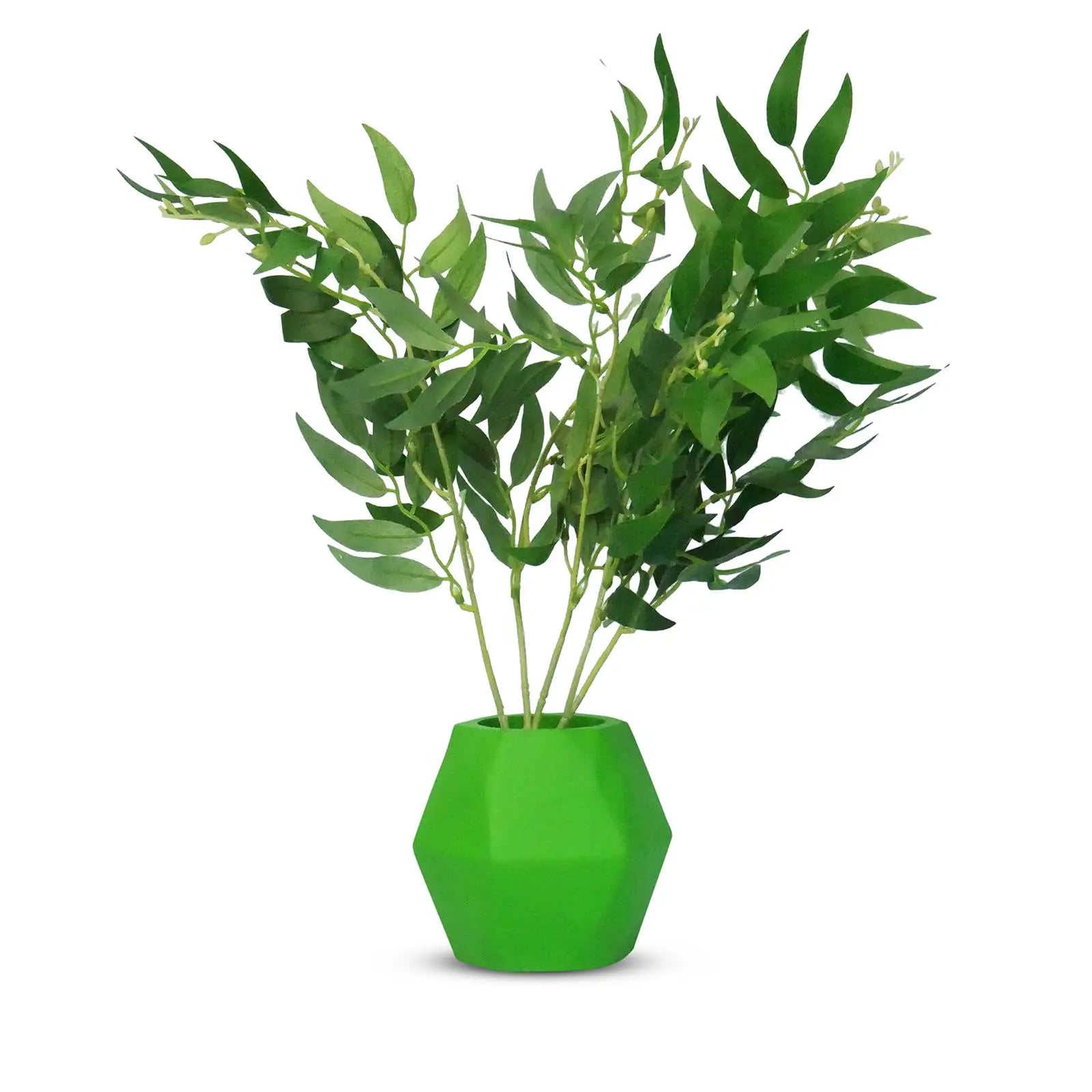 Insectimo Branch Jar - Kellyville Pets